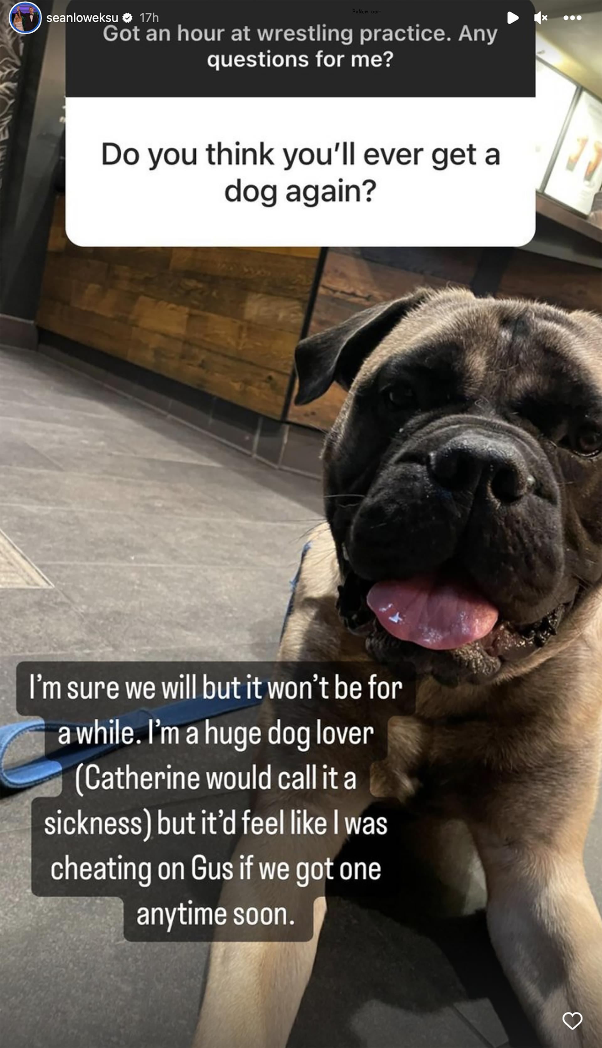 Sean Lowe's dog Gus on Instagram Story