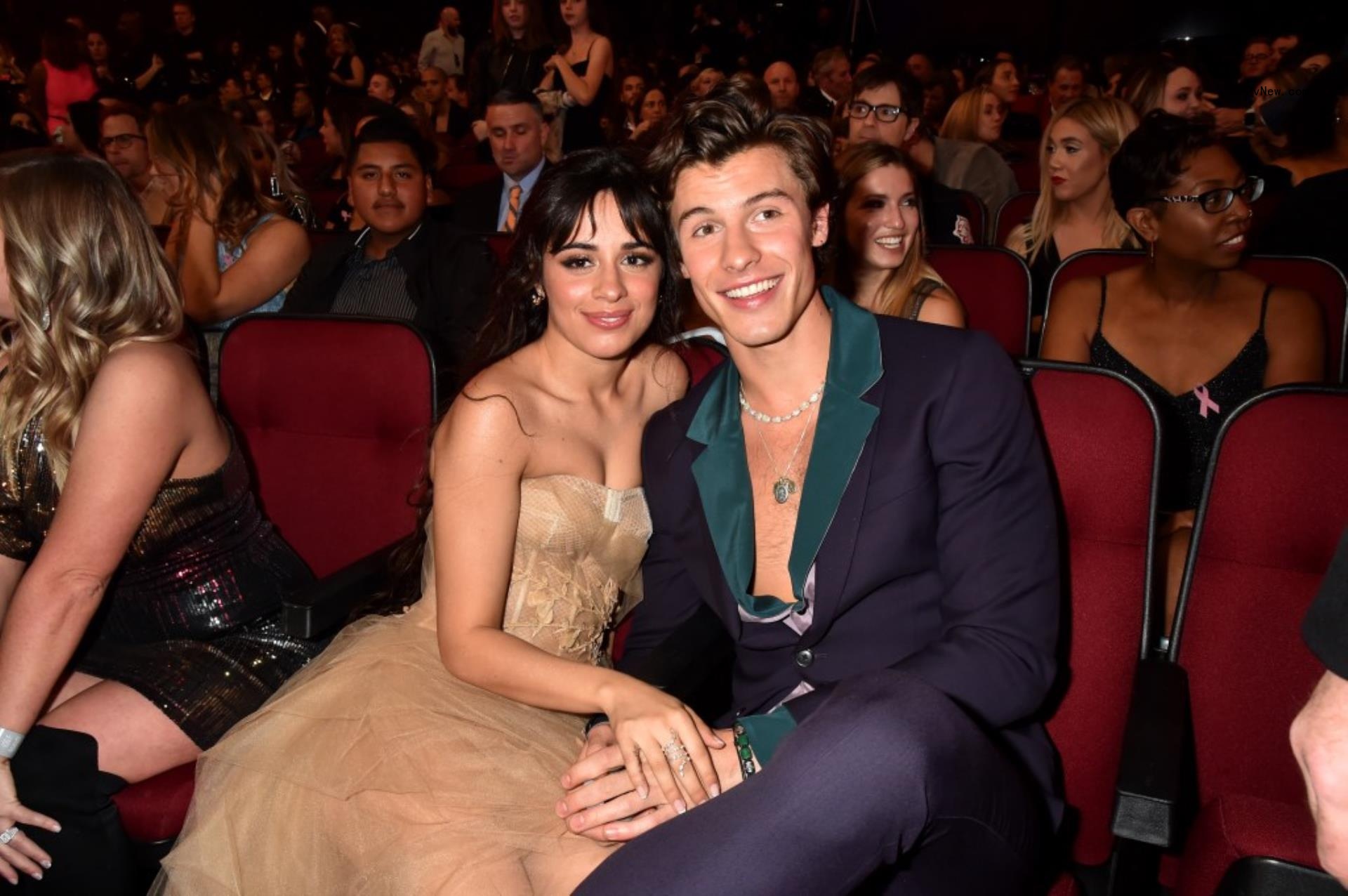 Camila Cabello and Shawn Mendes sitting together at an awards show.