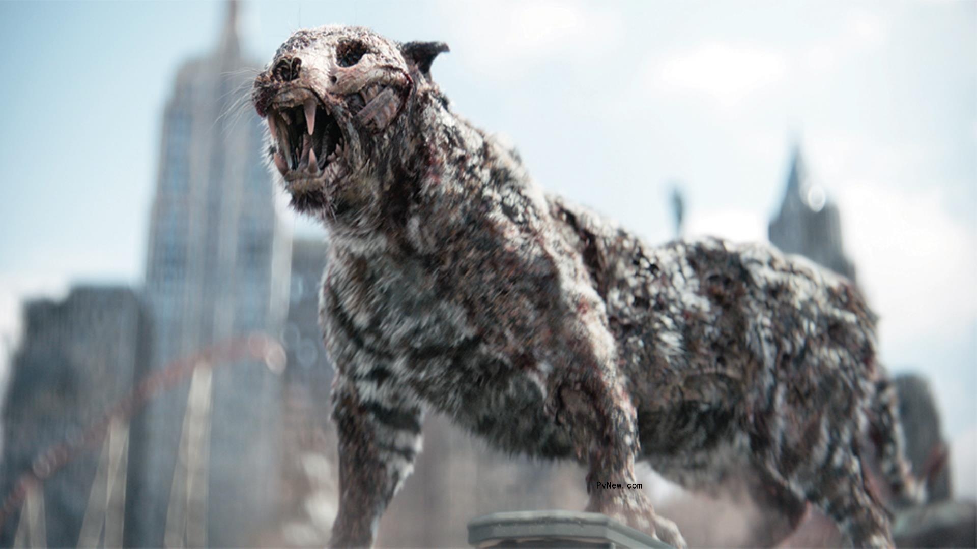 Netflix Claims Huge Viewing for ‘Army of the Dead,’ ‘Mitchells vs. The Machines’ and More, Using Its Own Proprietary Metric