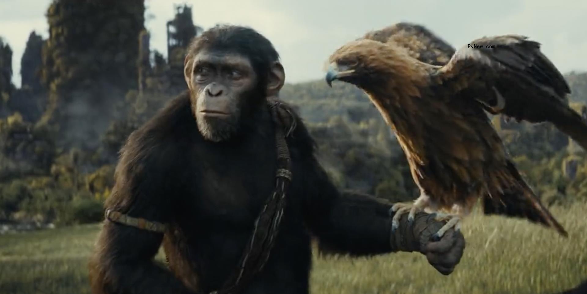 ‘Kingdom of the Planet of the Apes’ Release Date Moves Up Two Weeks
