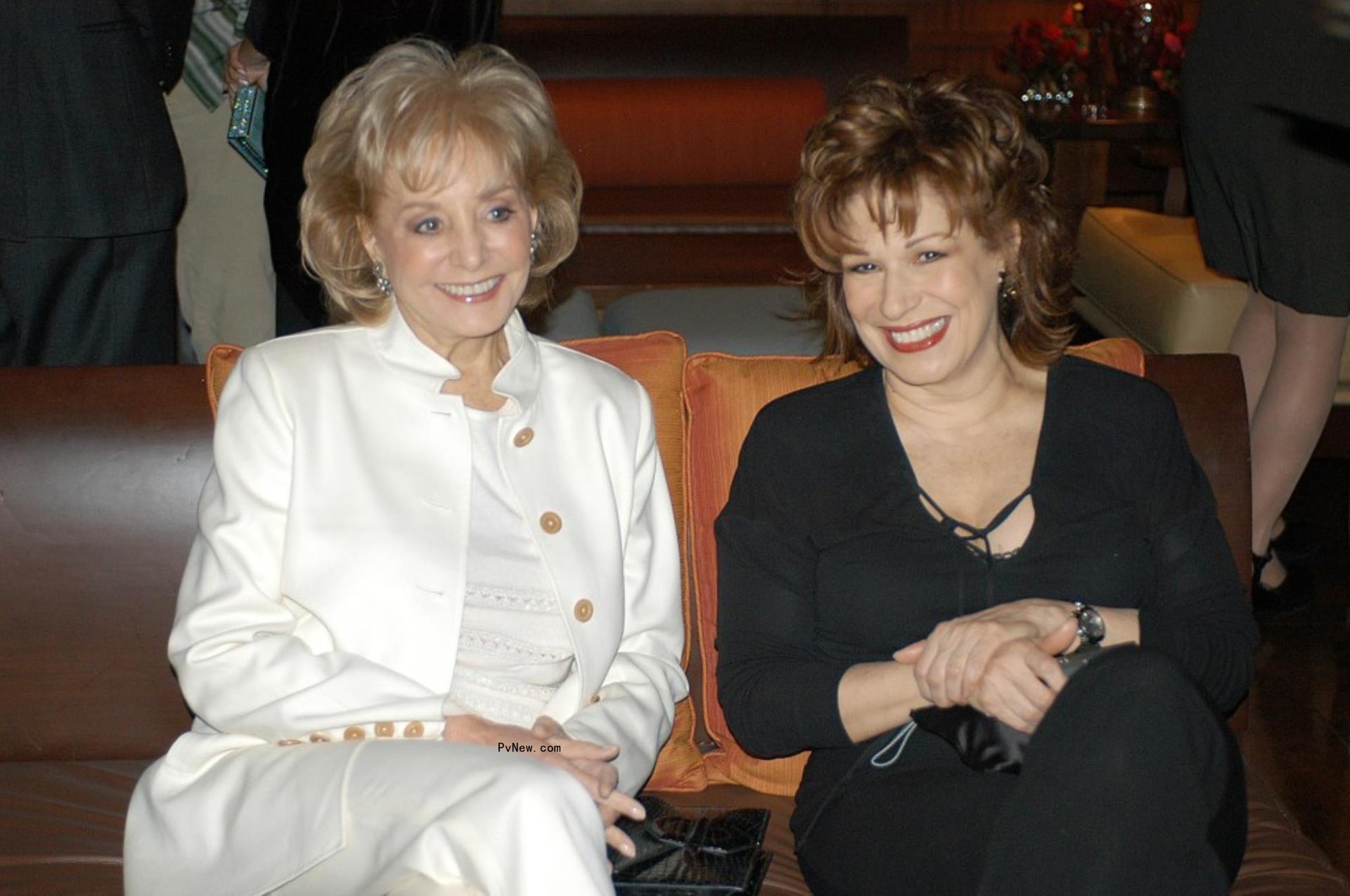 Barbara Walters and Joy Behar