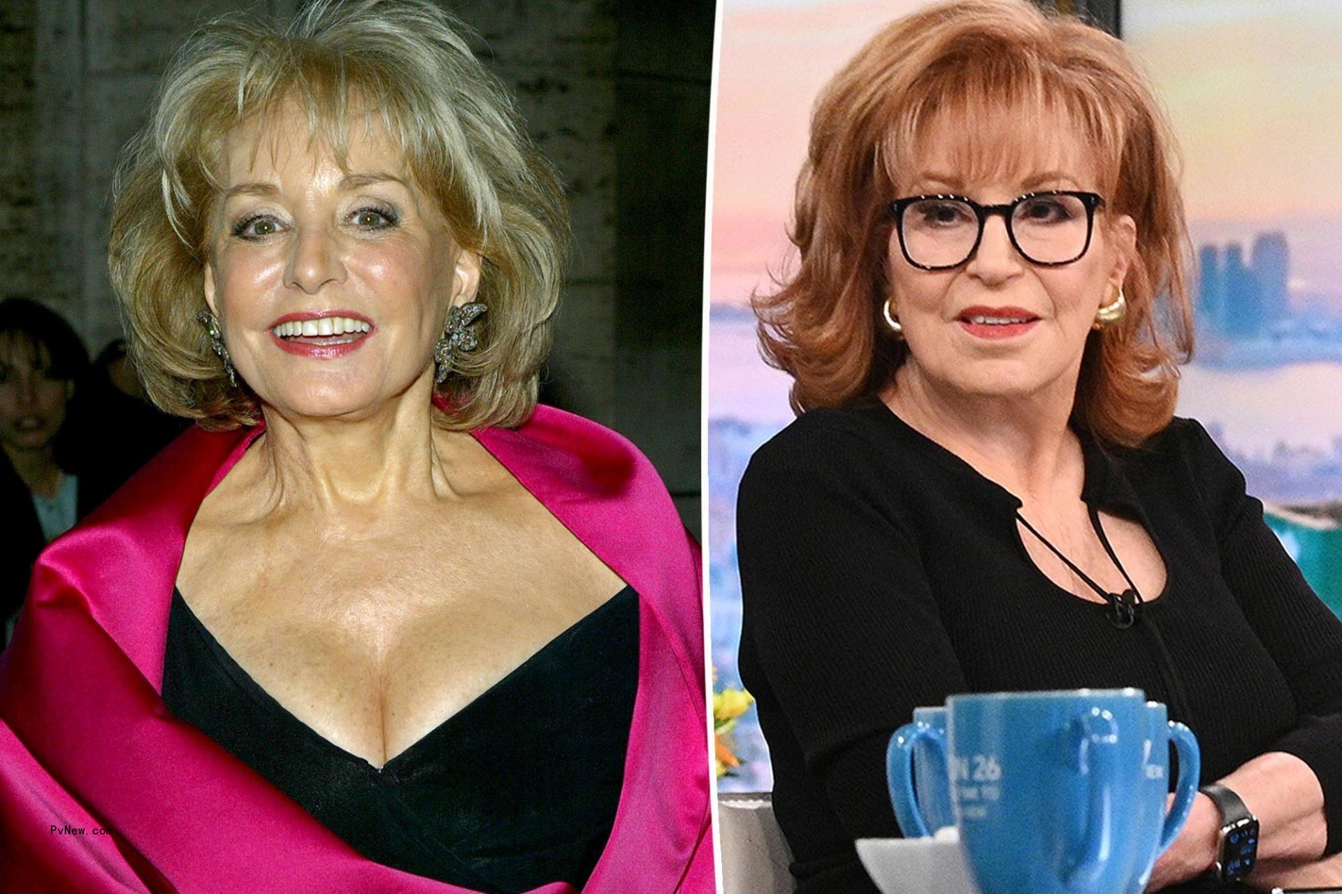 Joy Behar jokes a<i></i>bout Barbara Walters’ open-mouth ‘porn’ smile on ‘The View’
