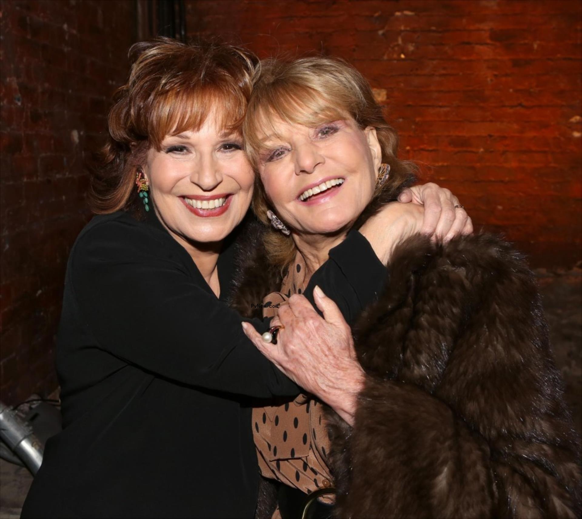 joy behar and barbara walters