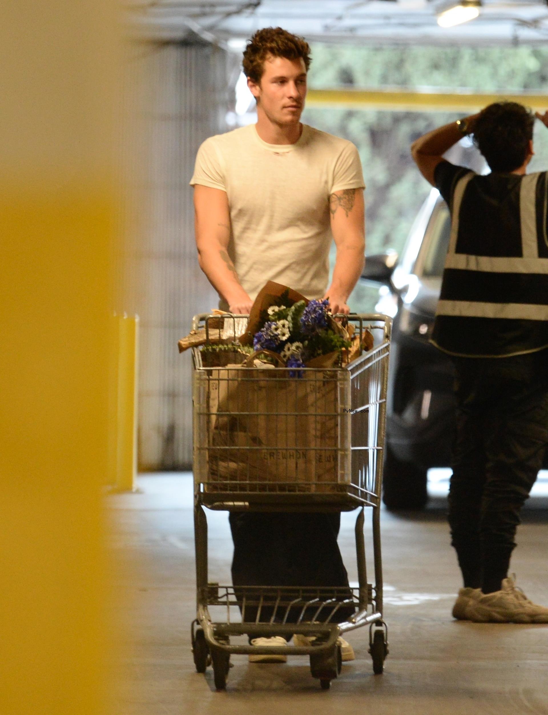 Shawn Mendes picks up flowers