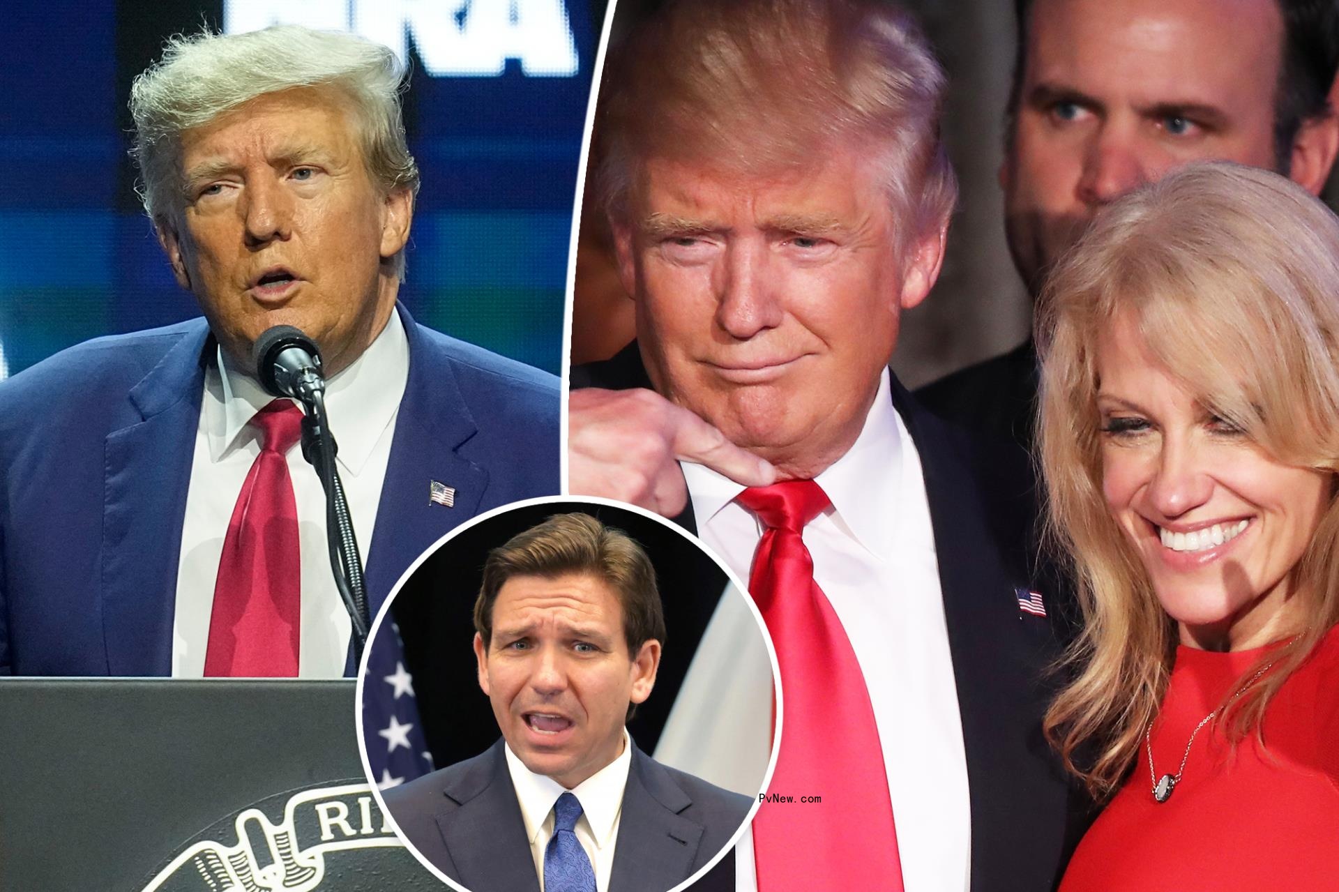 Do<i></i>nald Trump wooing former advisor Kellyanne Co<i></i>nway to join campaign