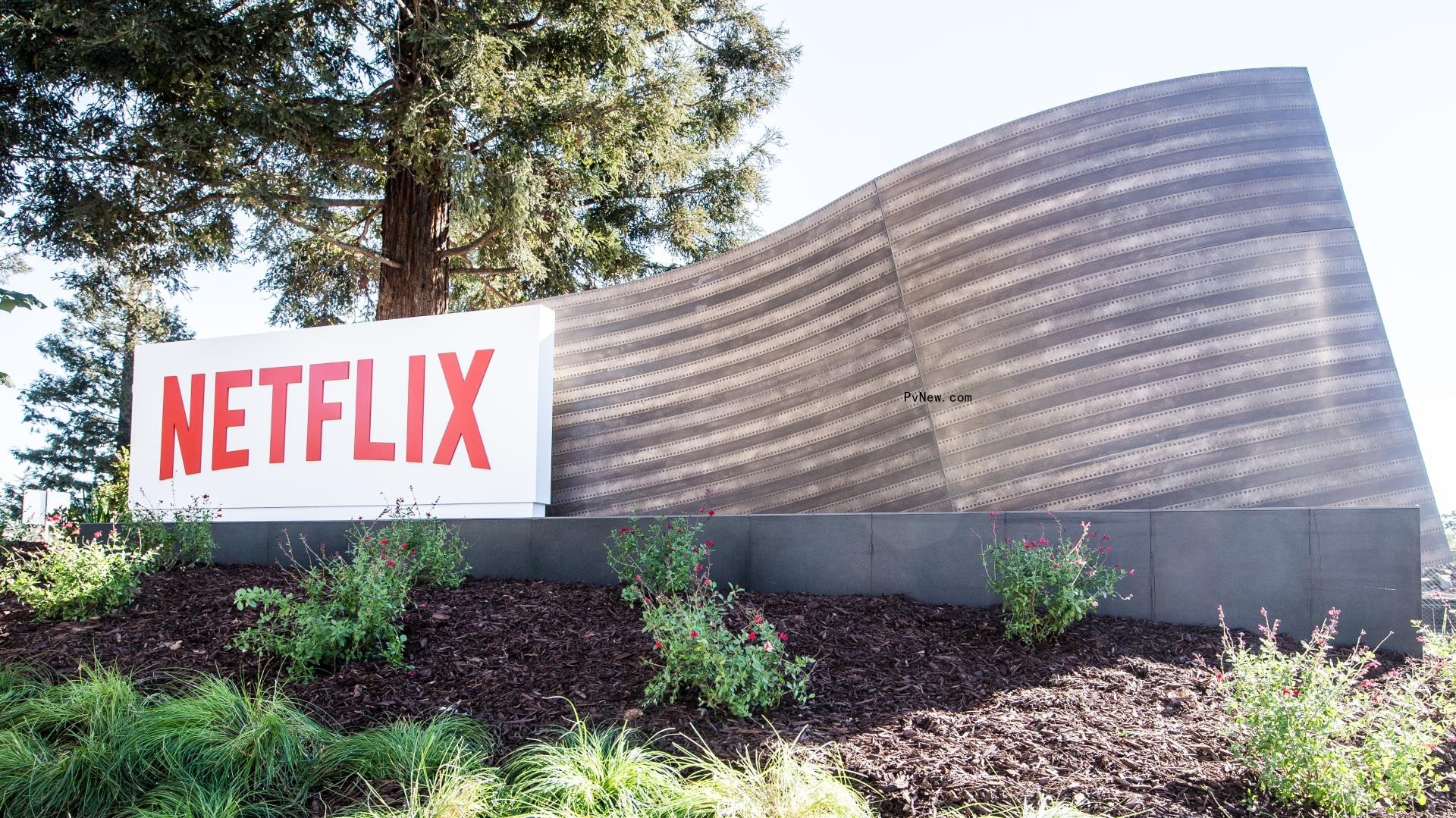 Ex-Netflix Employees Accused of $3.1 Million Insider Trading Scheme