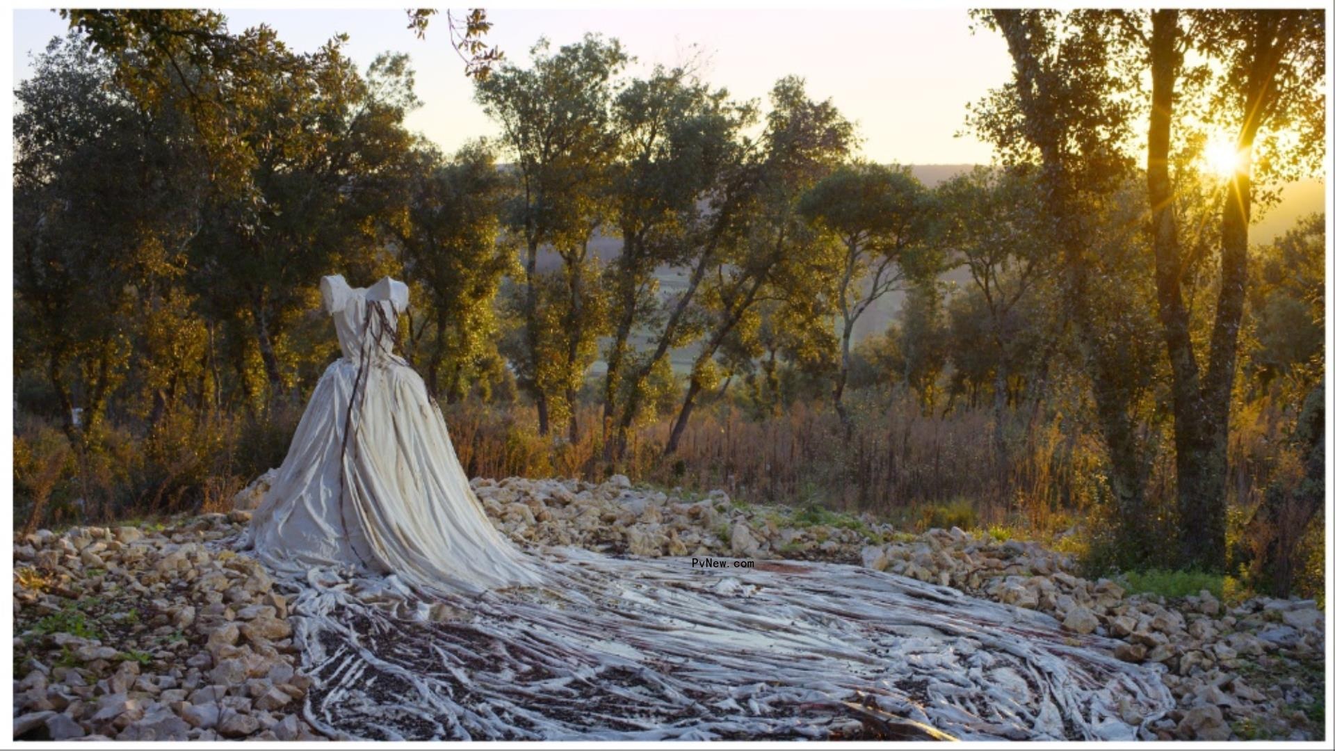 Clip from Cannes-Bound ‘Anselm,’ Wim Wenders’ 3D Portrait of Artist Anselm Kiefer, Debuts