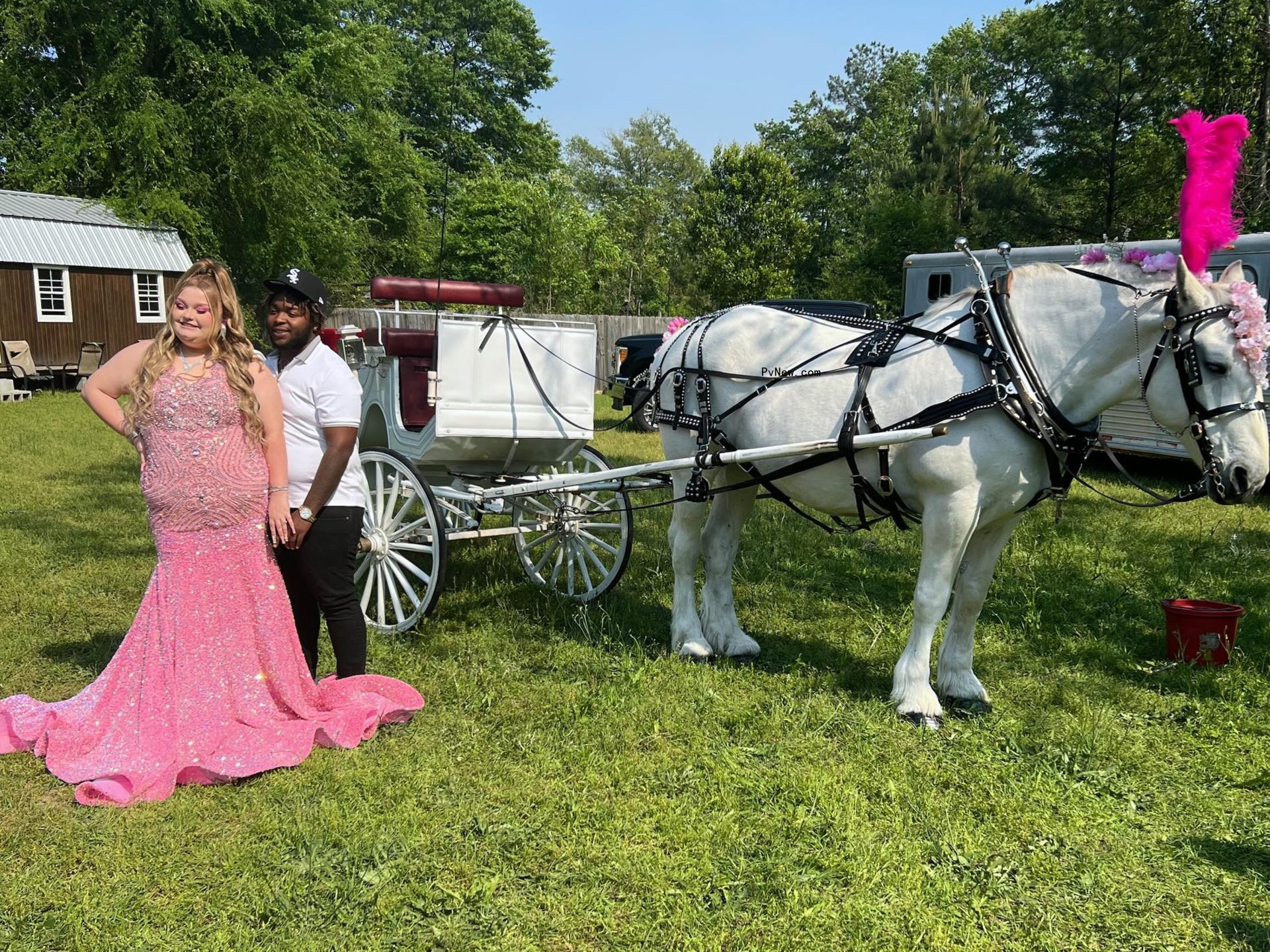 Ho<i></i>ney Boo Boo and Darin Carswell posing for prom in front of a horse-drawn carriage