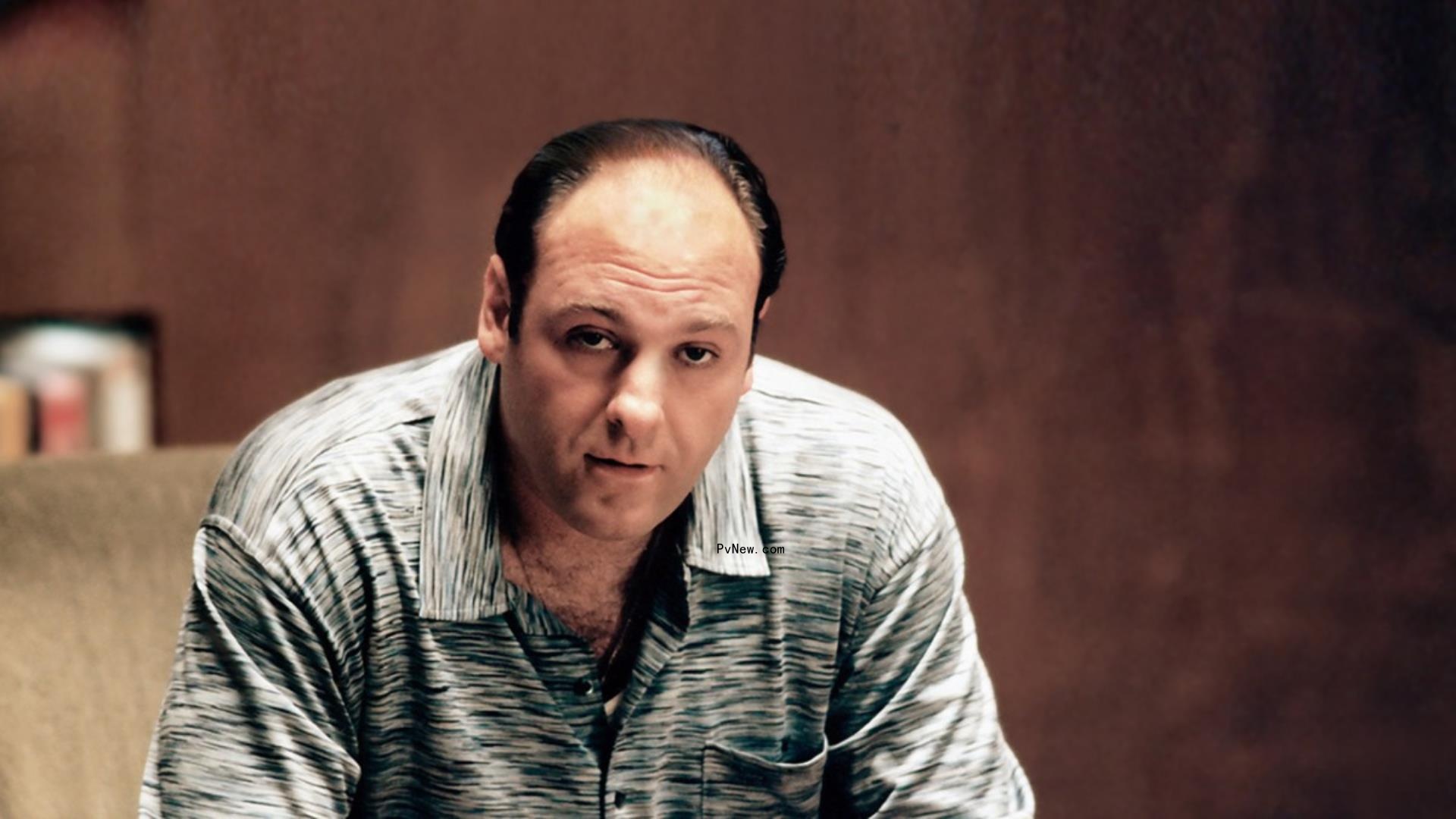 ‘Sopranos’ Season 1 Streaming Free on HBO Max to Promote ‘Many Saints of Newark’