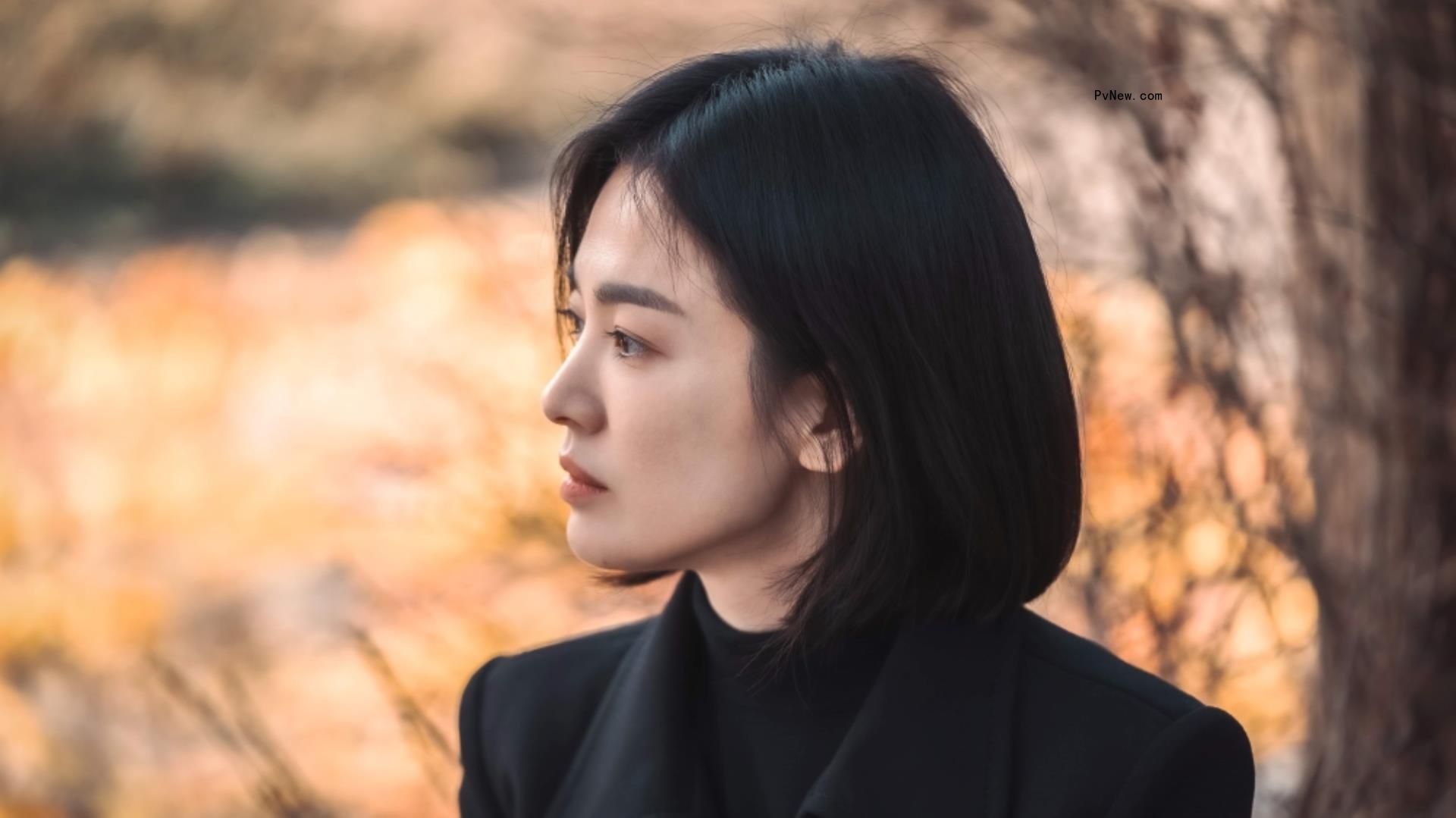 Korean Co<i></i>ntent Increases Hold on East Asian Audiences Still Further – Report