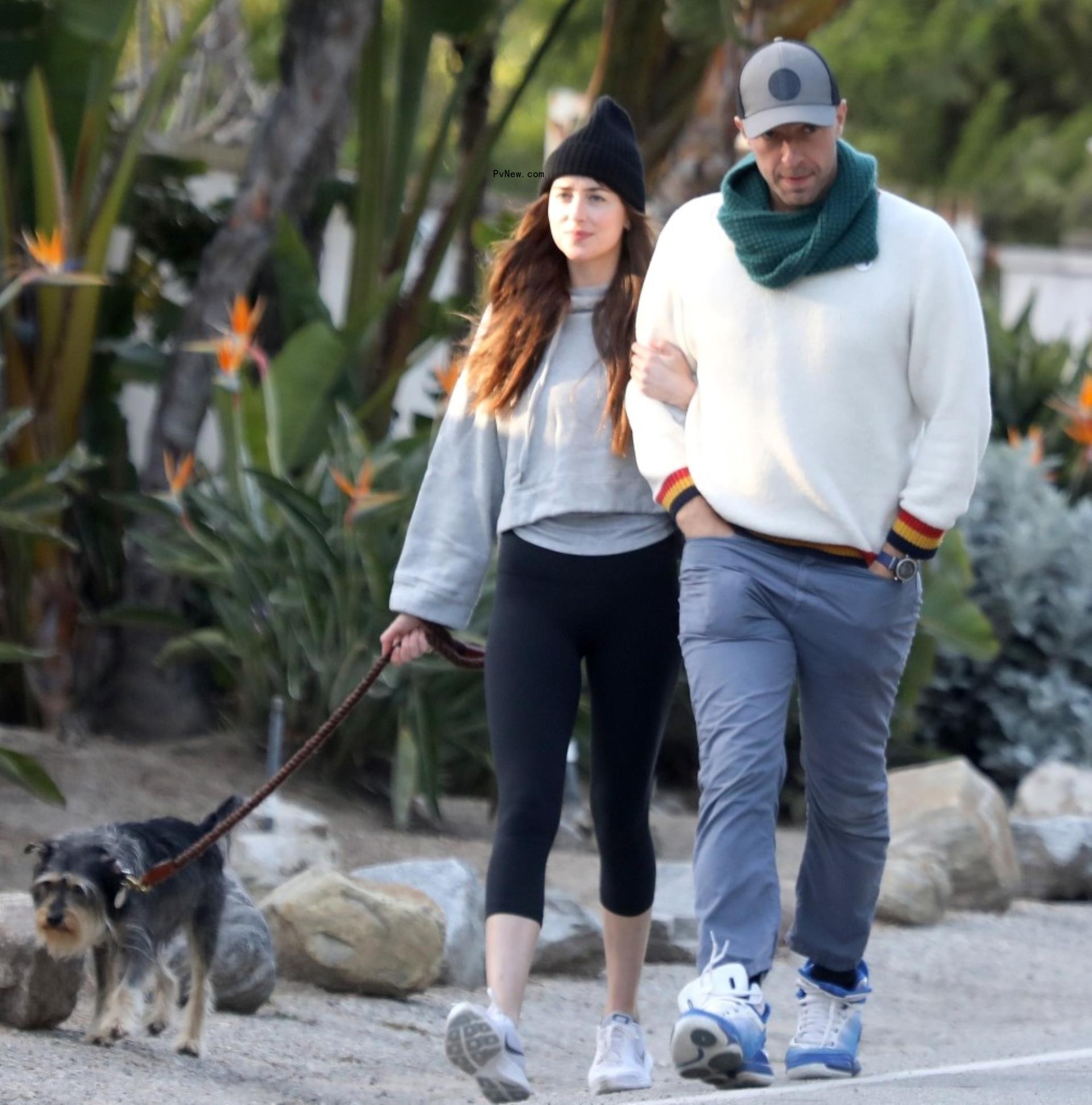 Chris Martin and Dakota Johnson. 