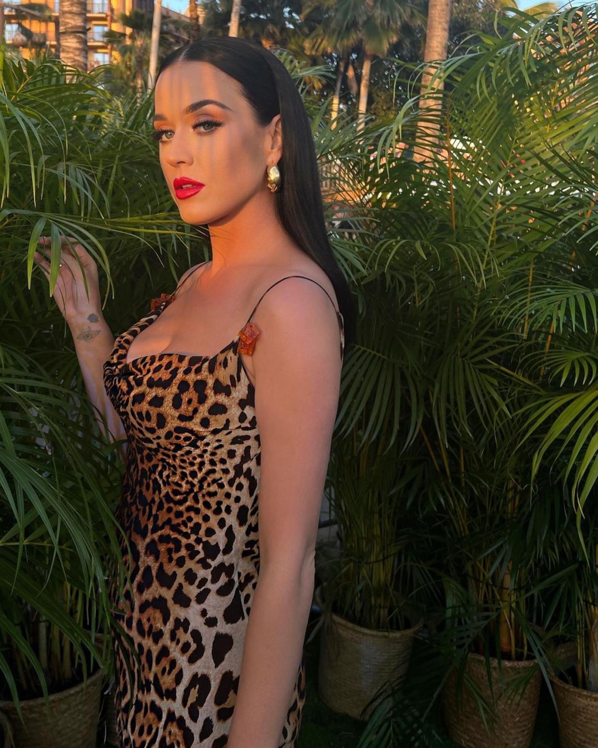 Katy Perry poses in animal-print dress
