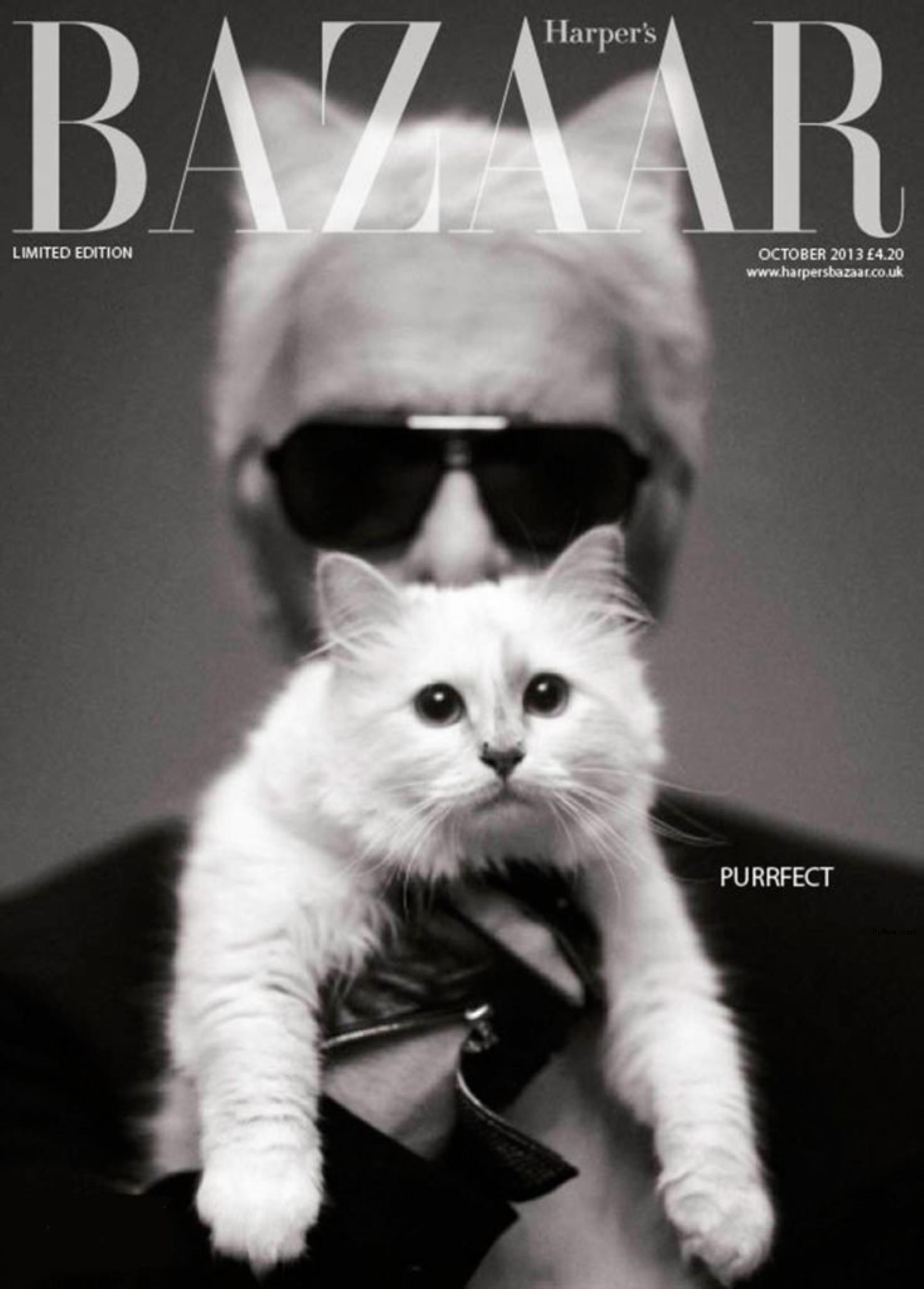 Karl Lagerfeld and Choupette