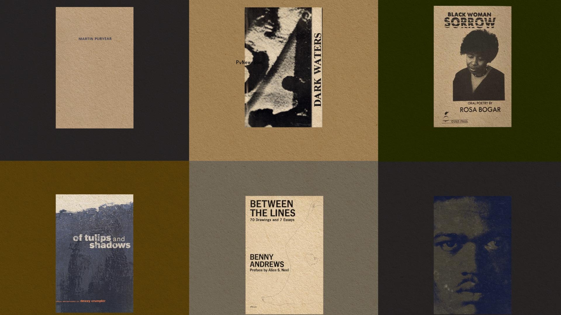 Solange’s Saint Heron Unveils Free Library of Rare Books and Art by Black Creators