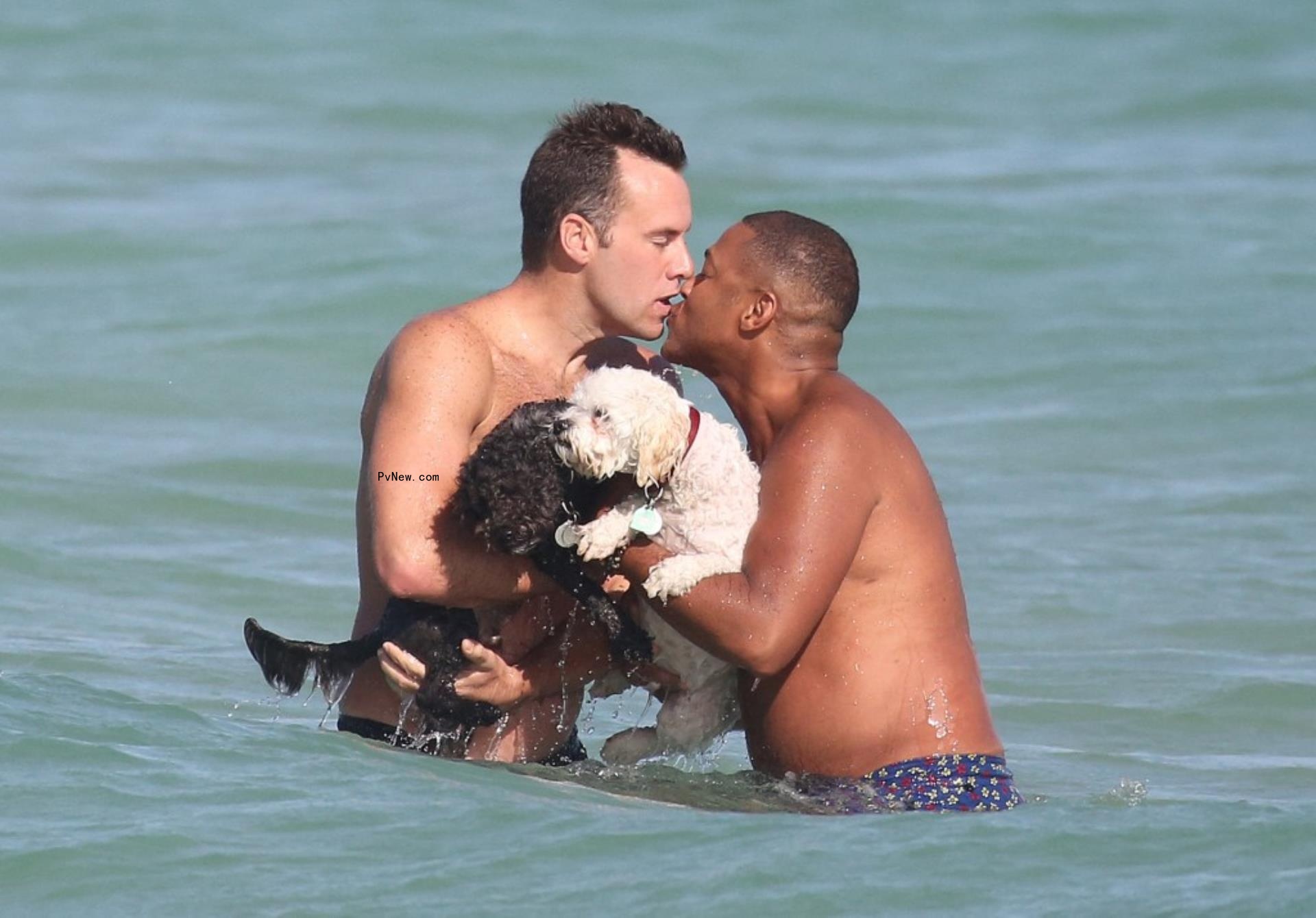 Don Lemon kissing his husband Tim Malone at the beach while holding dogs.