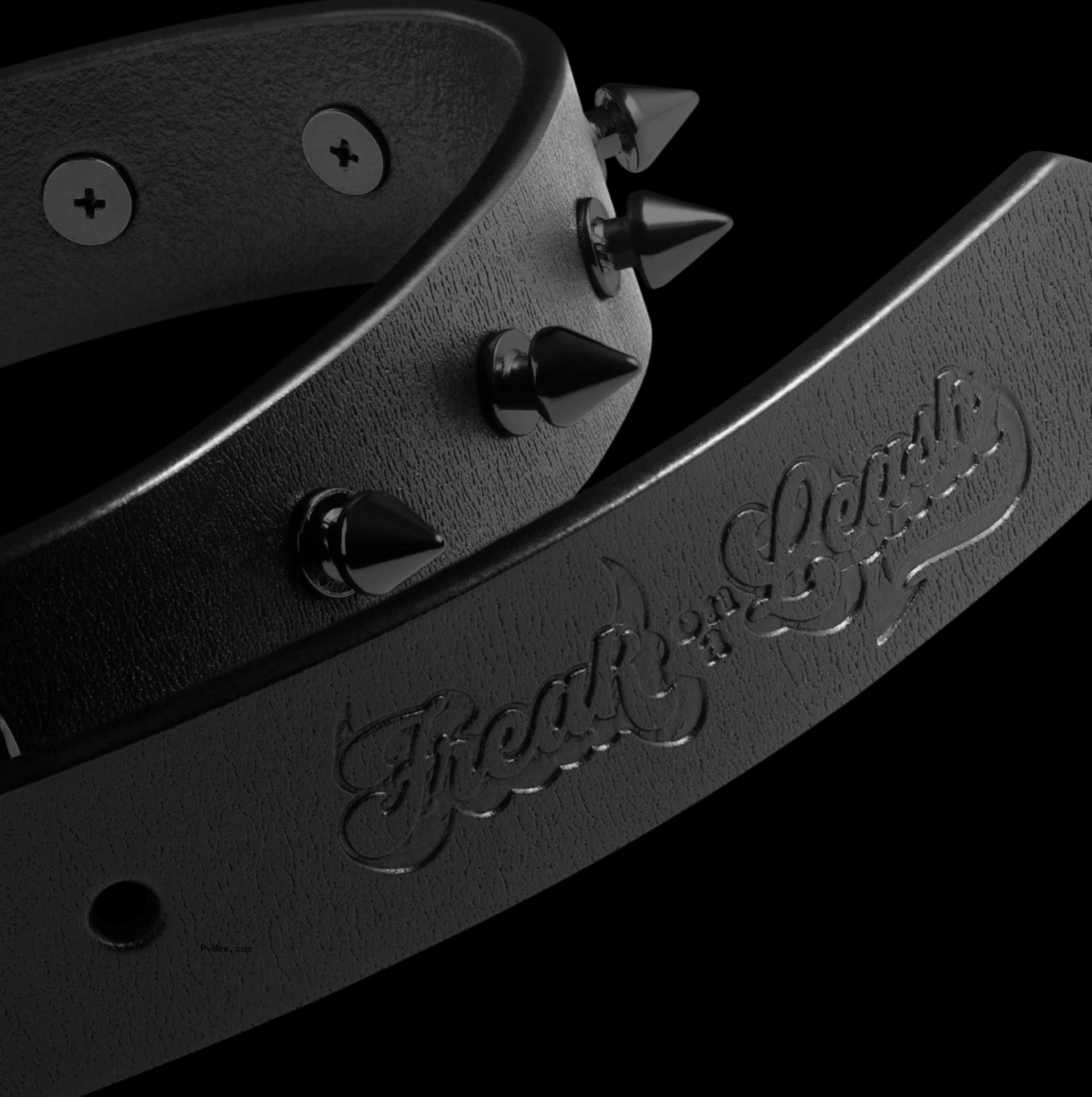 Korn’s Jo<i></i>nathan Davis Talks Freak on a Leash, His New Horror- and Rock-Themed Line of Pet Products