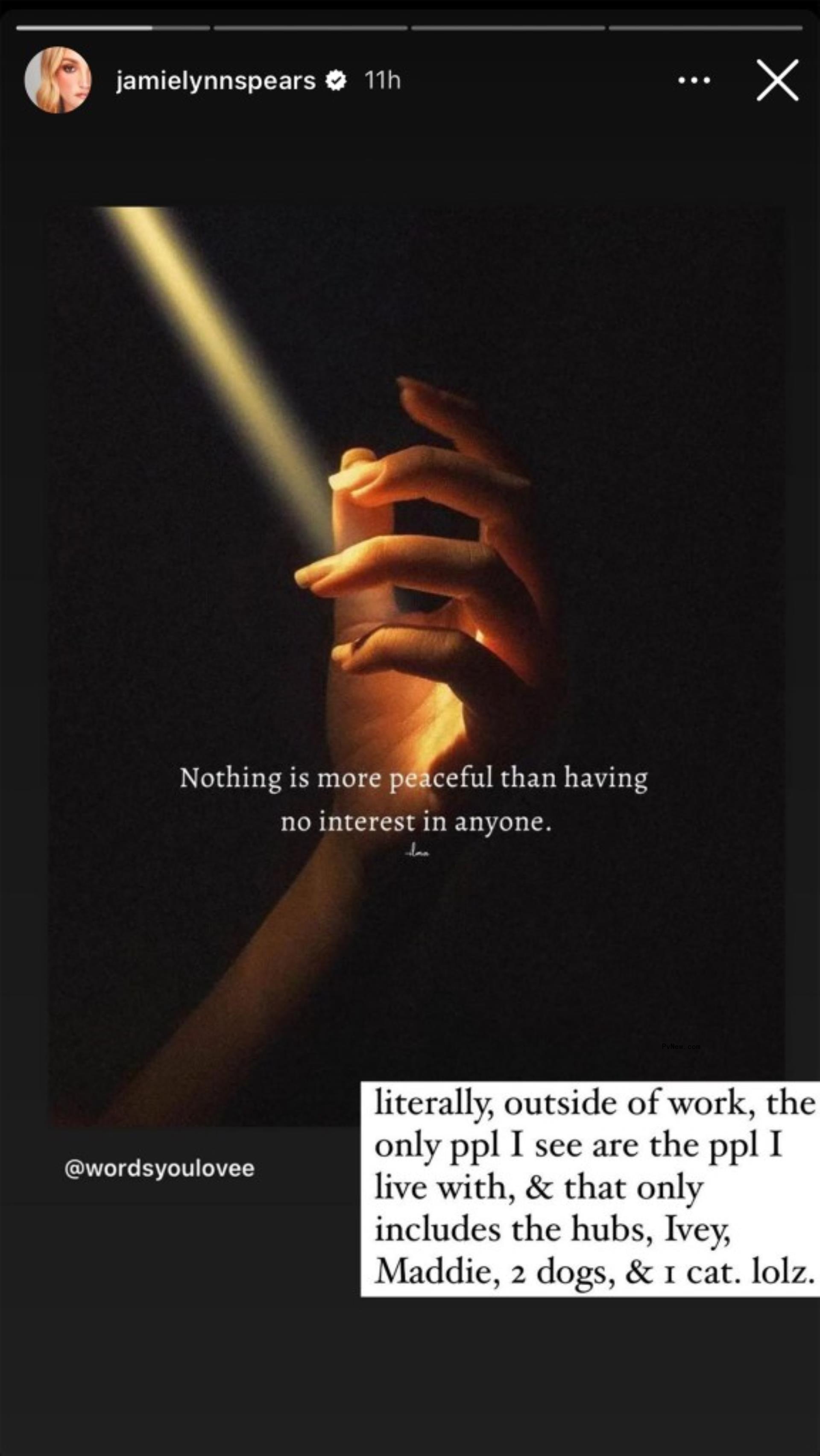 A screenshot of Jamie Lynn Spears' Instagram Story.