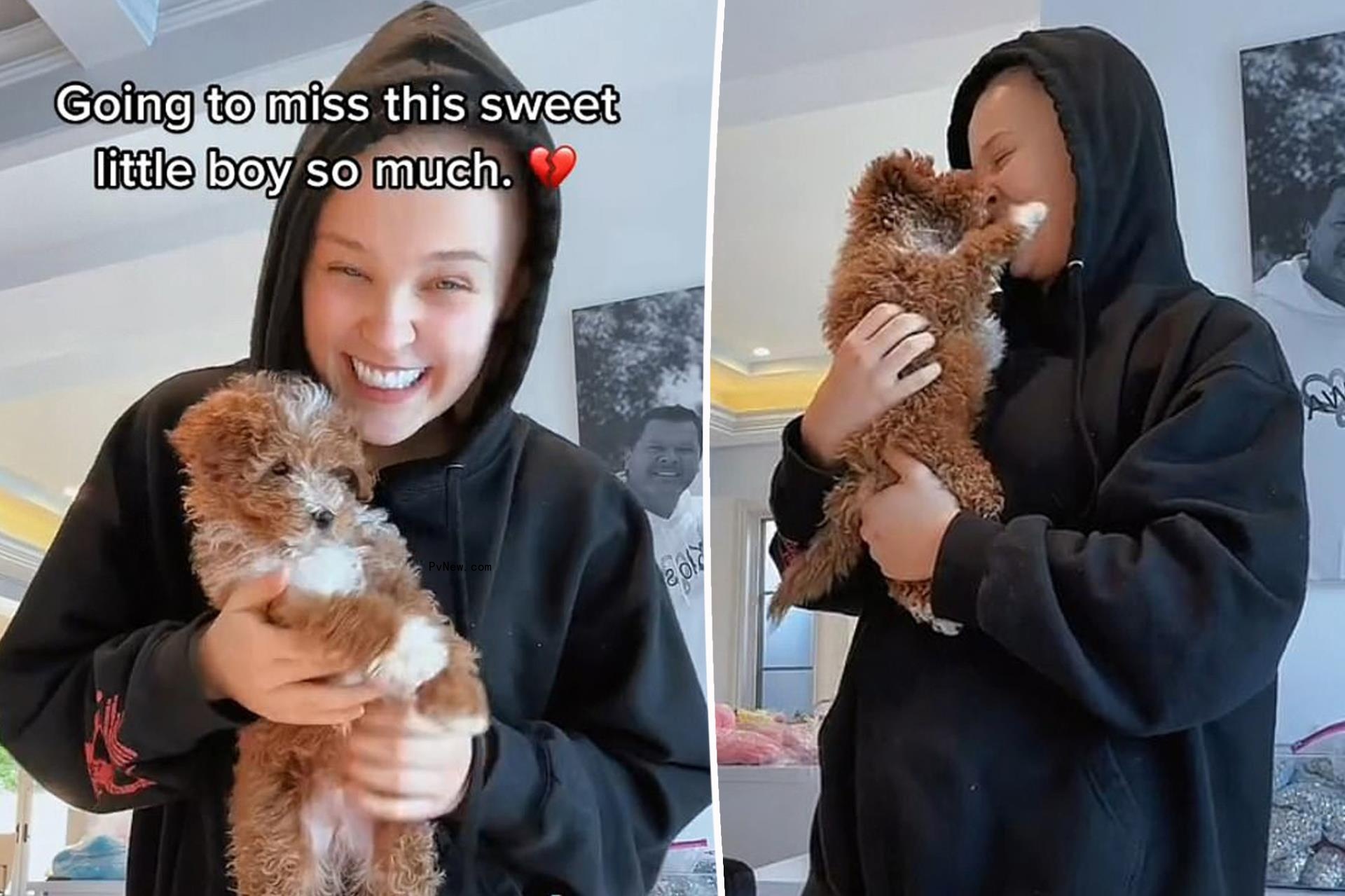 JoJo Siwa’s puppy tragically killed in an ‘accident’: ‘Going to miss him’