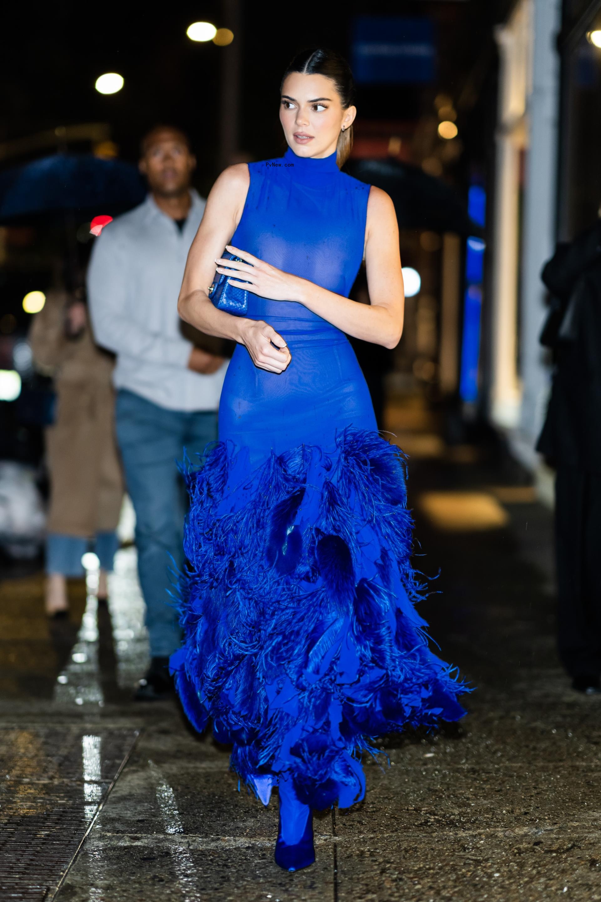 Kendall Jenner wearing a sheer blue dress.