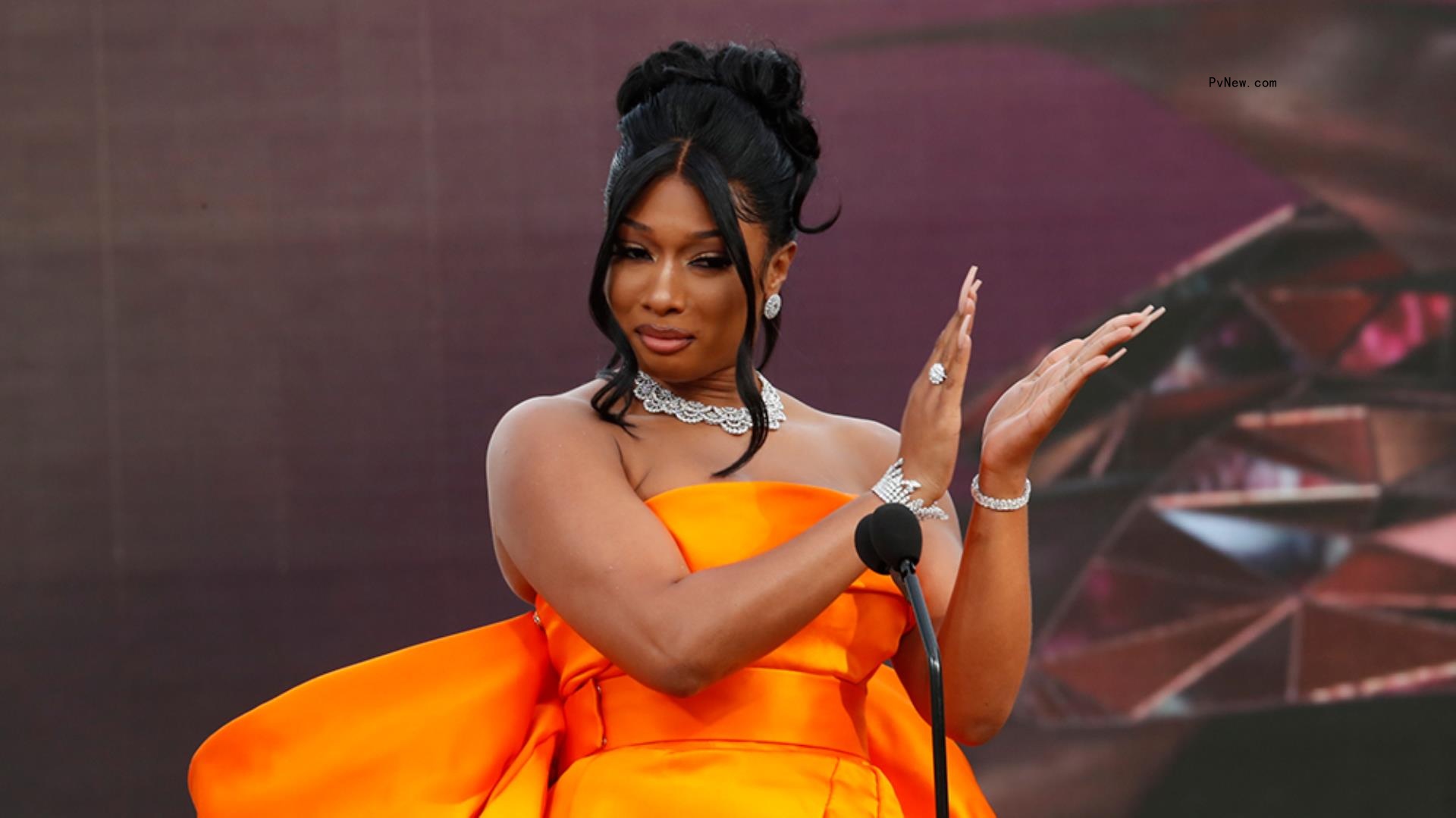 Megan Thee Stallion Wins Grammy Award for Best New Artist