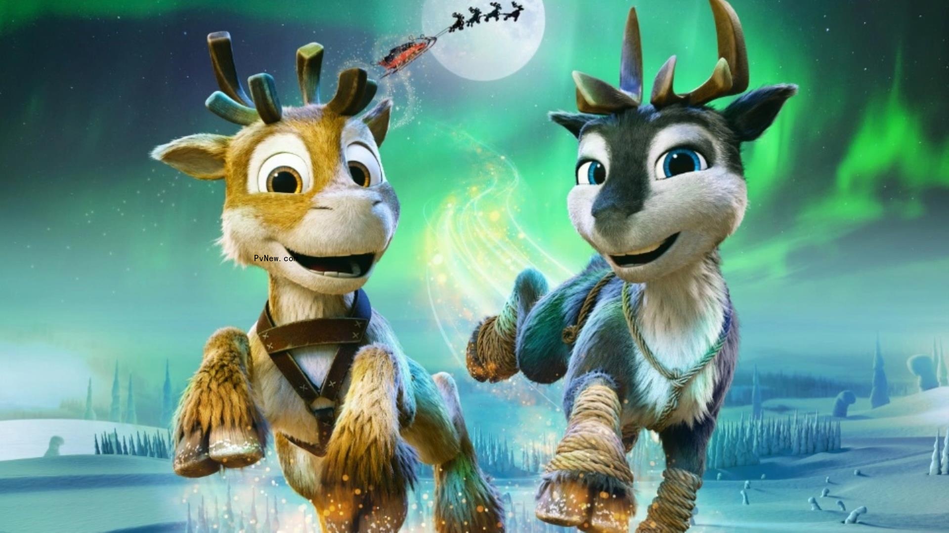 Global Screen Racks Up Presales to Multiple Territories for ‘Niko — Beyond the Northern Lights’