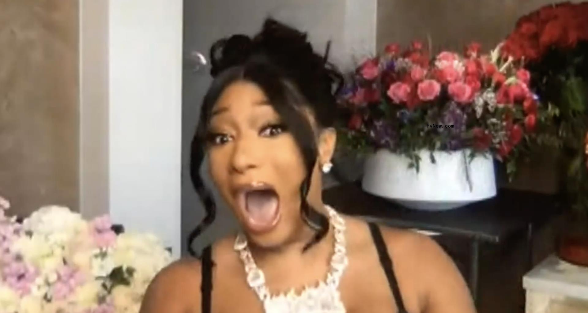 Upset-Filled Grammy Pre-Telecast Gives Megan Thee Stallion, Fiona Apple, Billie Eilish, John Prine Early Wins