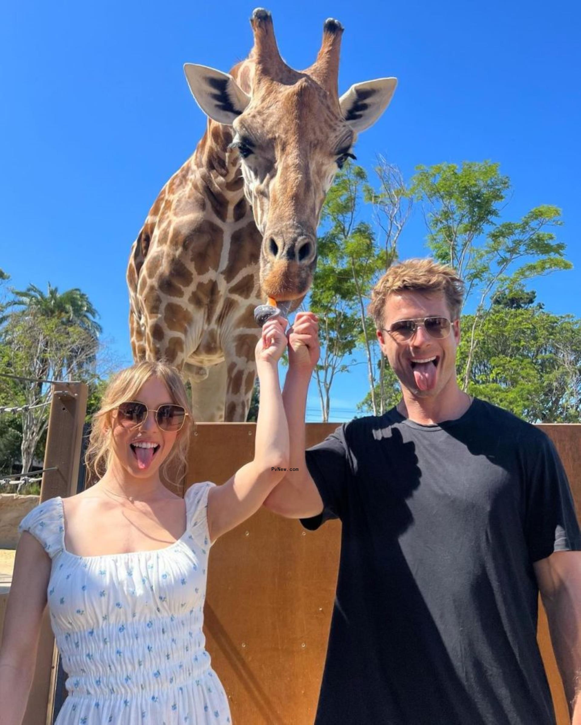Sydney Sweeney and Glen Powell with a giraffe.