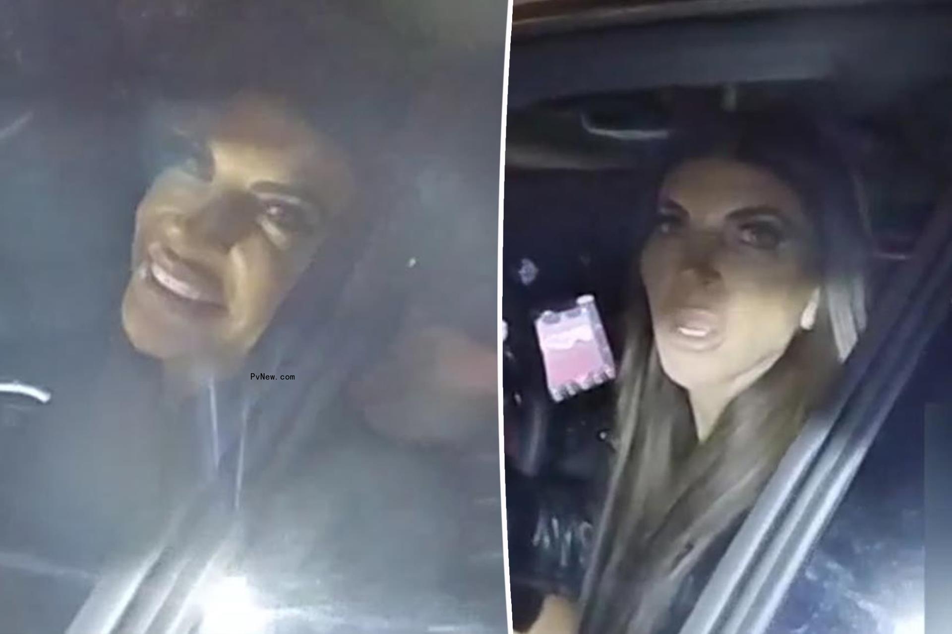 Teresa Giudice offers ‘family business cards’ to cop after being pulled over for swerving lanes