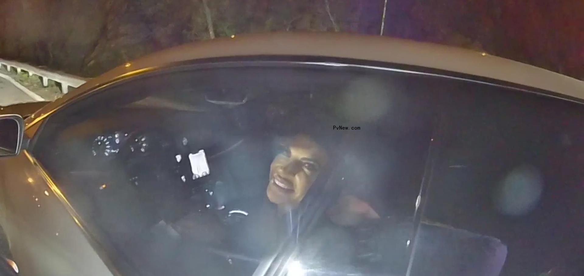 teresa giudice getting pulled over