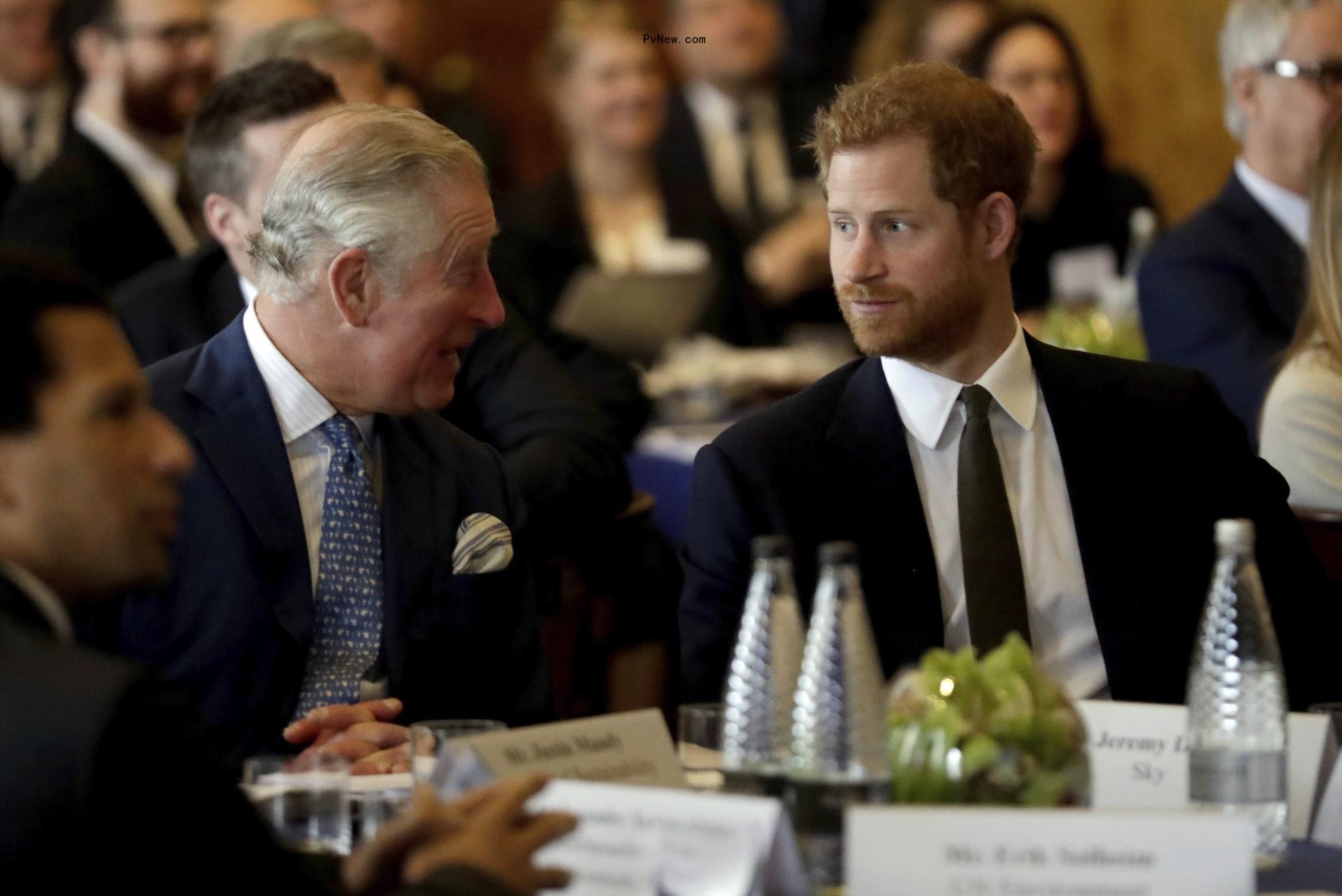 Prince Harry and King Charles III talking 