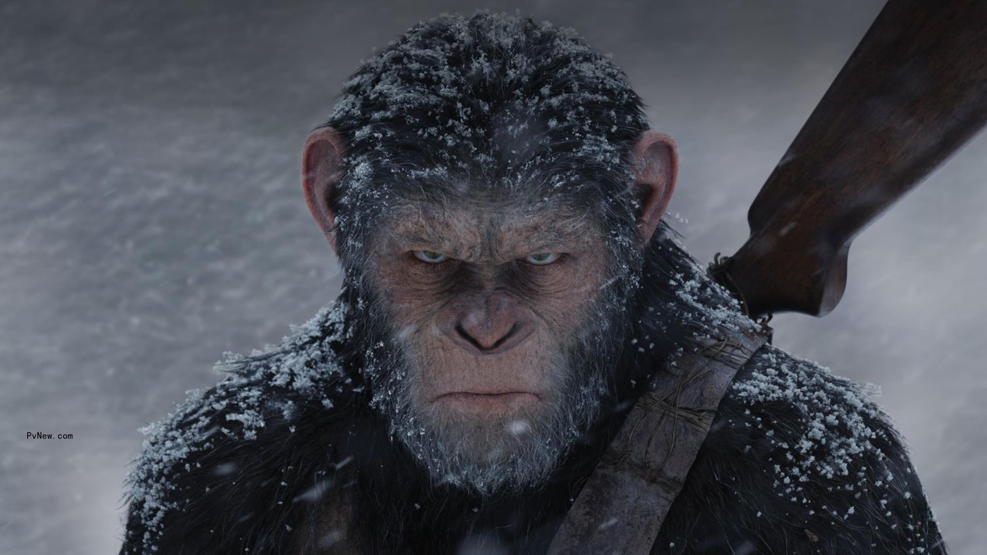 Peter Jackson Selling Weta Digital’s VFX Tech Division to Unity for $1.625 Billion
