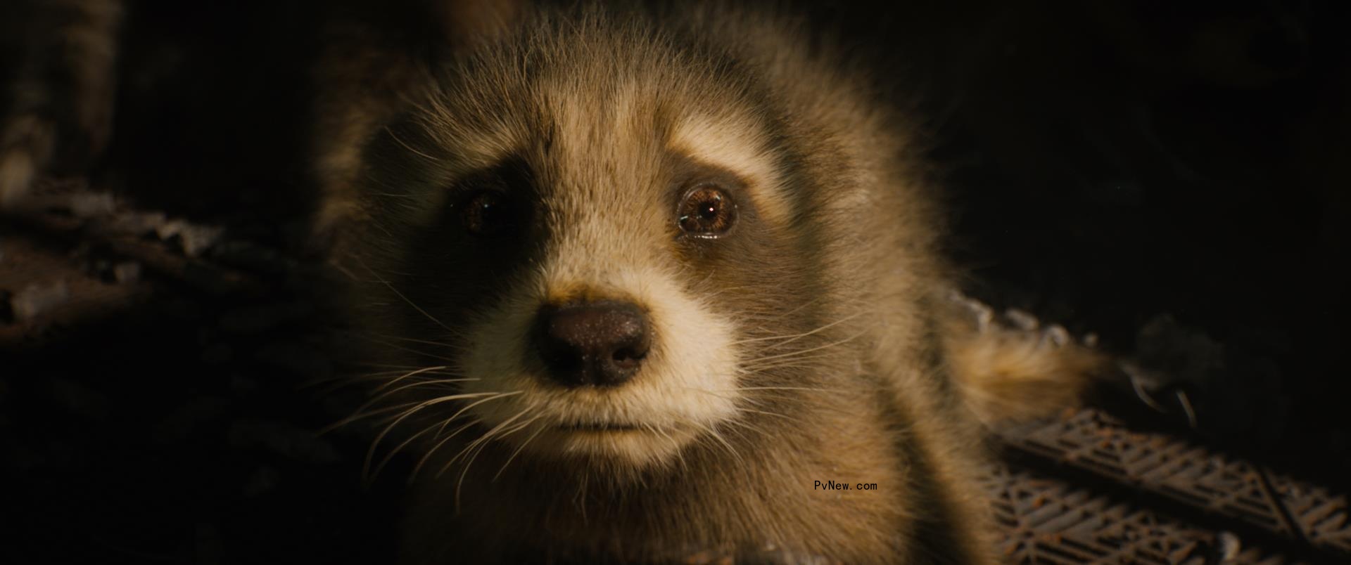‘Guardians of the Galaxy Vol. 3’ Required Over 3,000 VFX Shots for Rocket’s Backstory, Cosmo and ‘No Sleep Till Brooklyn’ Battle