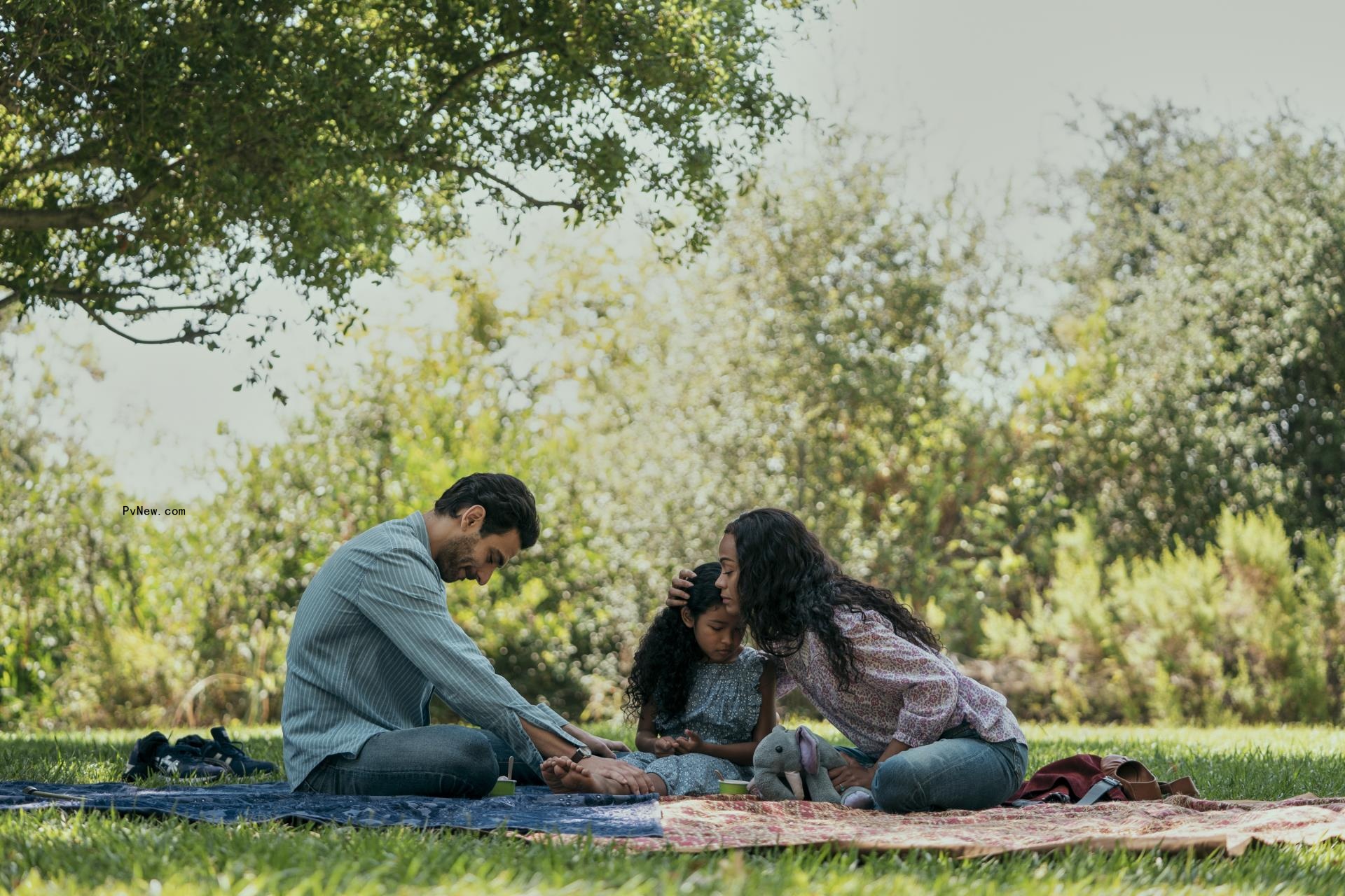 ‘From Scratch,’ ba<i></i>sed on Tembi Locke’s Memoir of Love and Loss, Shows What ‘Home Is Wher<i></i>e the Heart Is’ Truly Means: TV Review