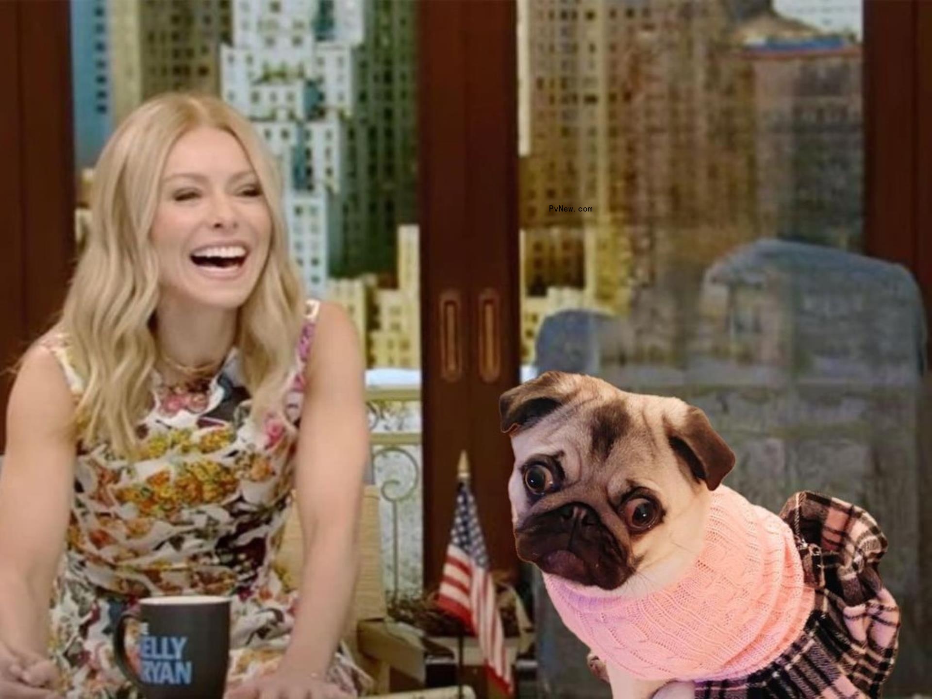 kelly ripa with dog kelly ripug