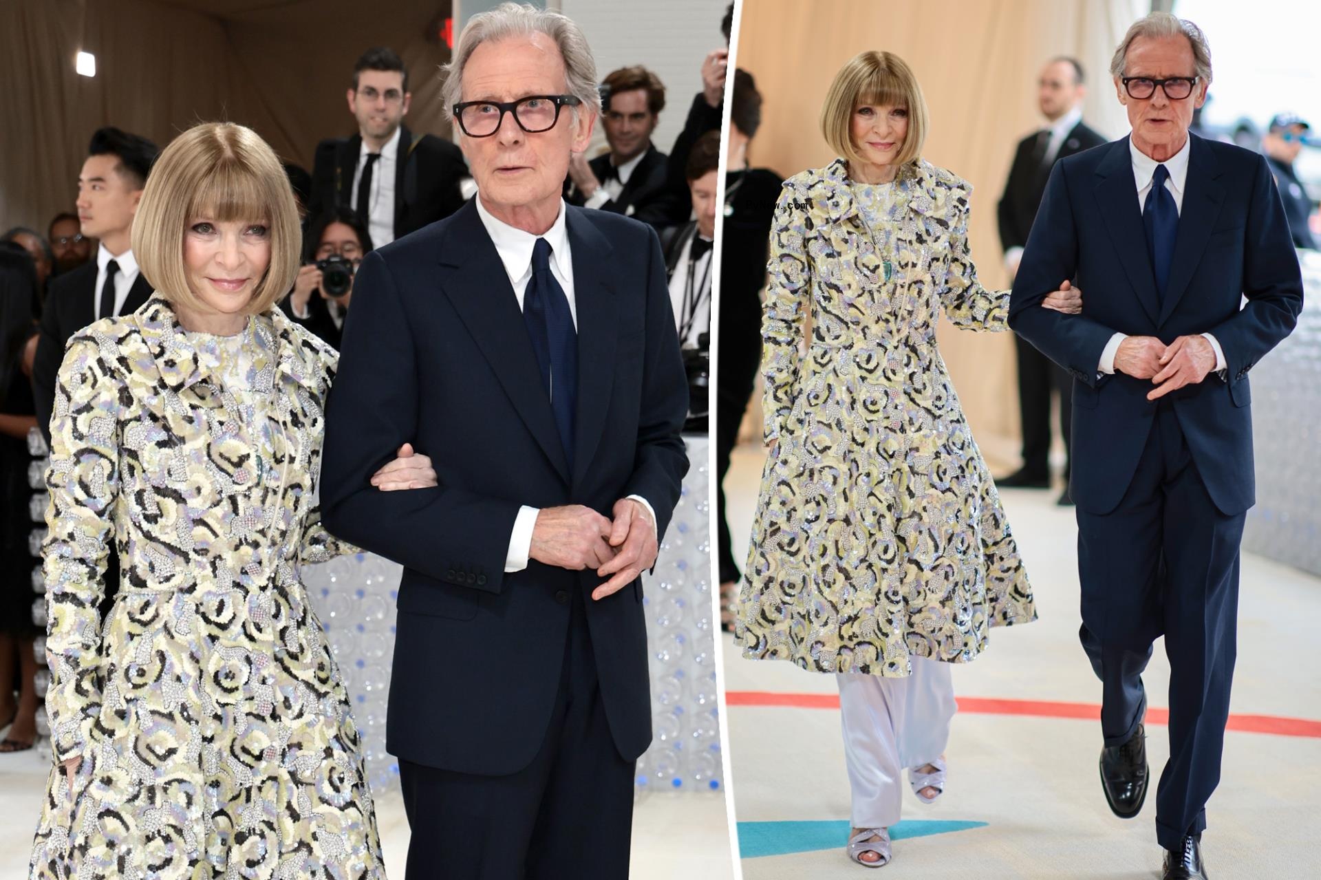 Anna Wintour and boyfriend Bill Nighy make Met Gala debut as a couple