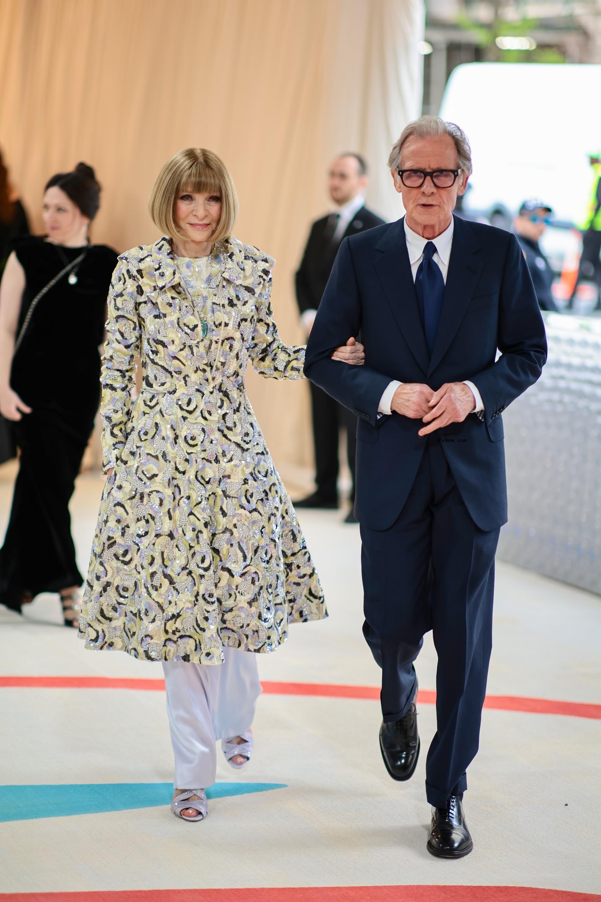 anna wintour and bill nighy at met gala 2023
