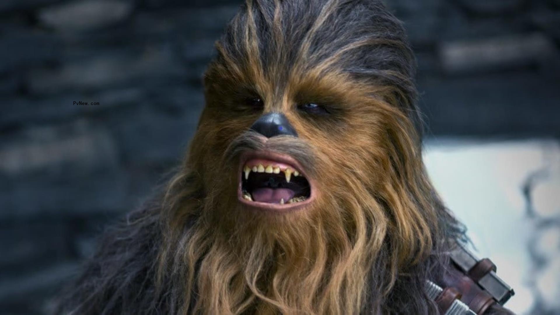 Disney Teams With TikTok to Add Text-to-Speech Voices for Characters From Star Wars, Marvel and More
