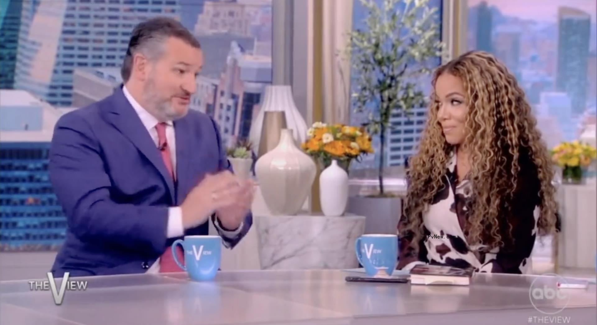 ‘The View’ Interview With Ted Cruz Interrupted by Climate Change Protesters