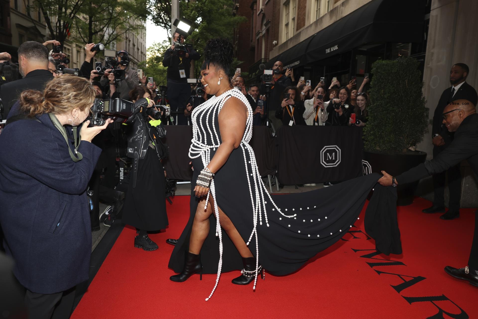 Lizzo Met Gala.