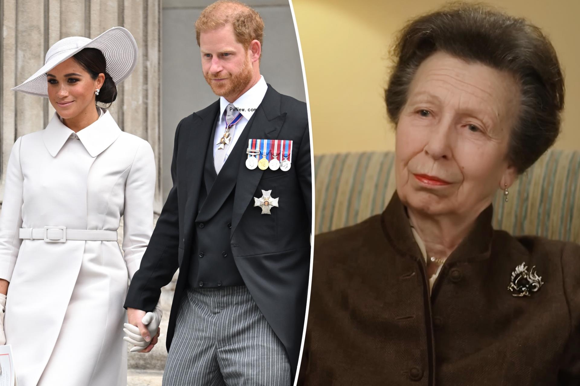 Princess Anne: ‘Slimmed-down’ mo<i></i>narchy isn’t ‘a good idea’ after Megxit