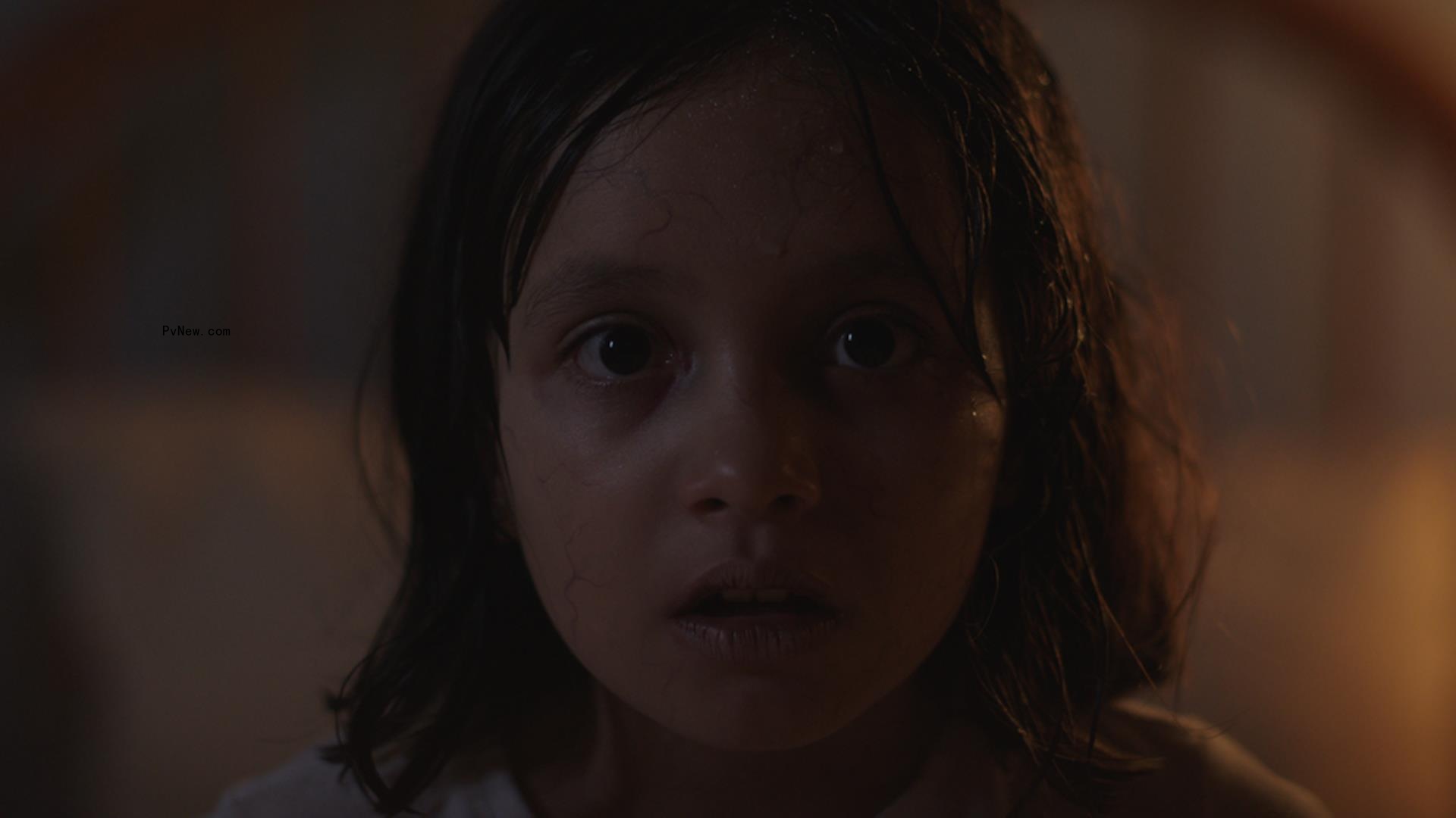 Blood Window Showcase Teases 8 Upcoming Films at Cannes: ‘Genre Films Are Now at Their Best’