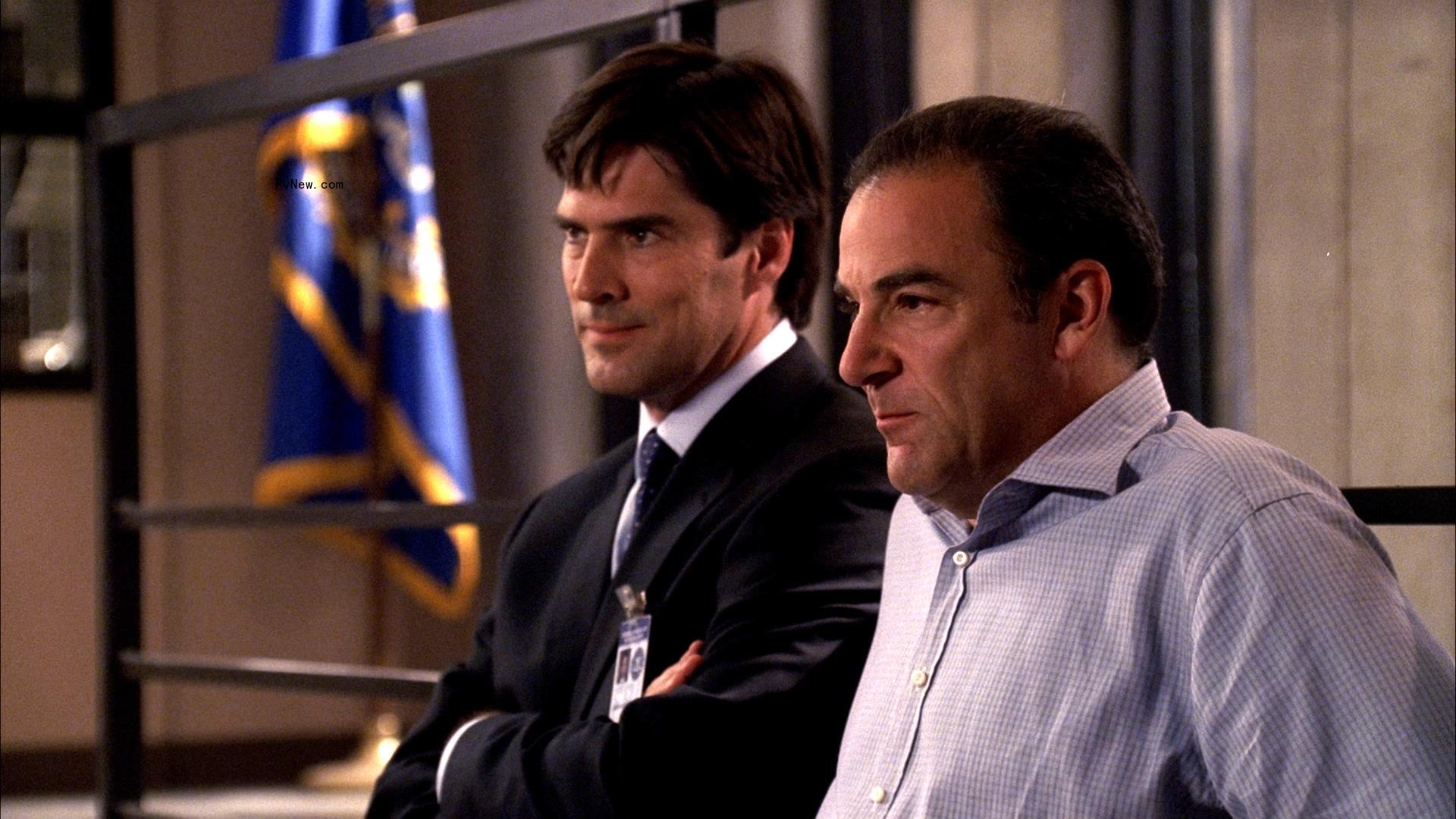 Surprise! ‘Criminal Minds’ Was 2021’s Most-Streamed TV Show in the U.S.