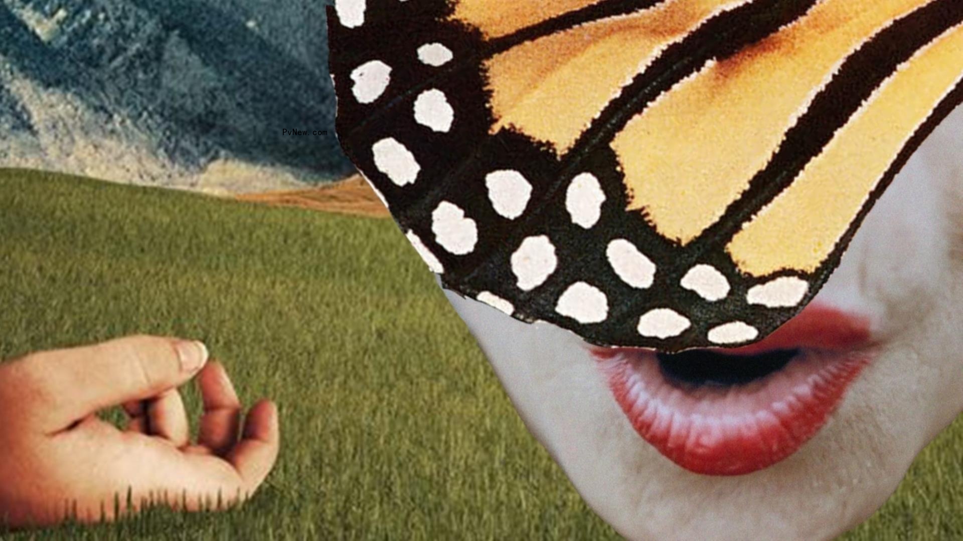Hot Vietnam Production ‘Don’t Cry, Butterfly’ Boarded by ‘Plan 75’ Producer Wilfredo Manalang