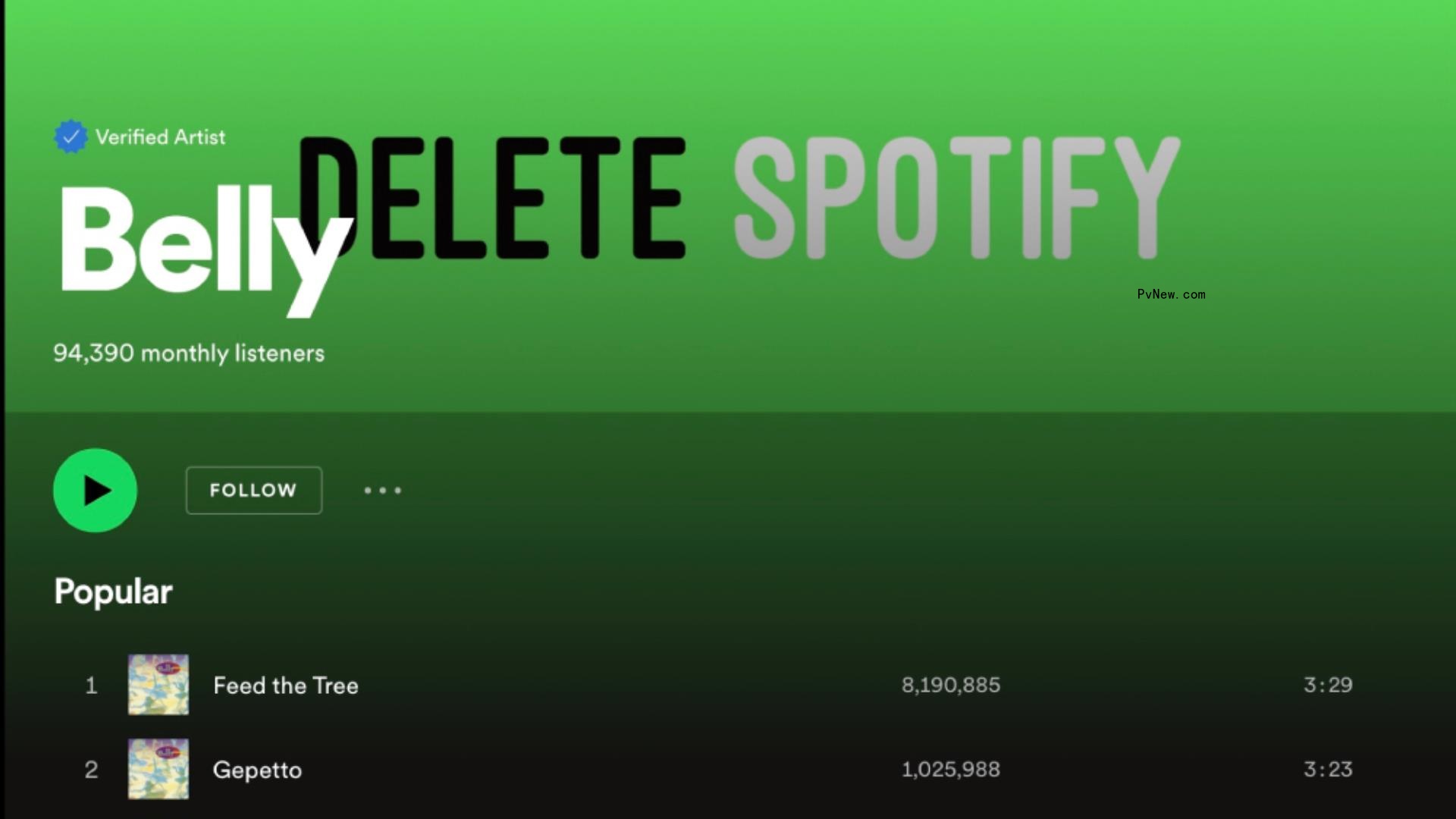 ‘Delet<i></i>e Spotify’ Image Appears — on Spotify Itself