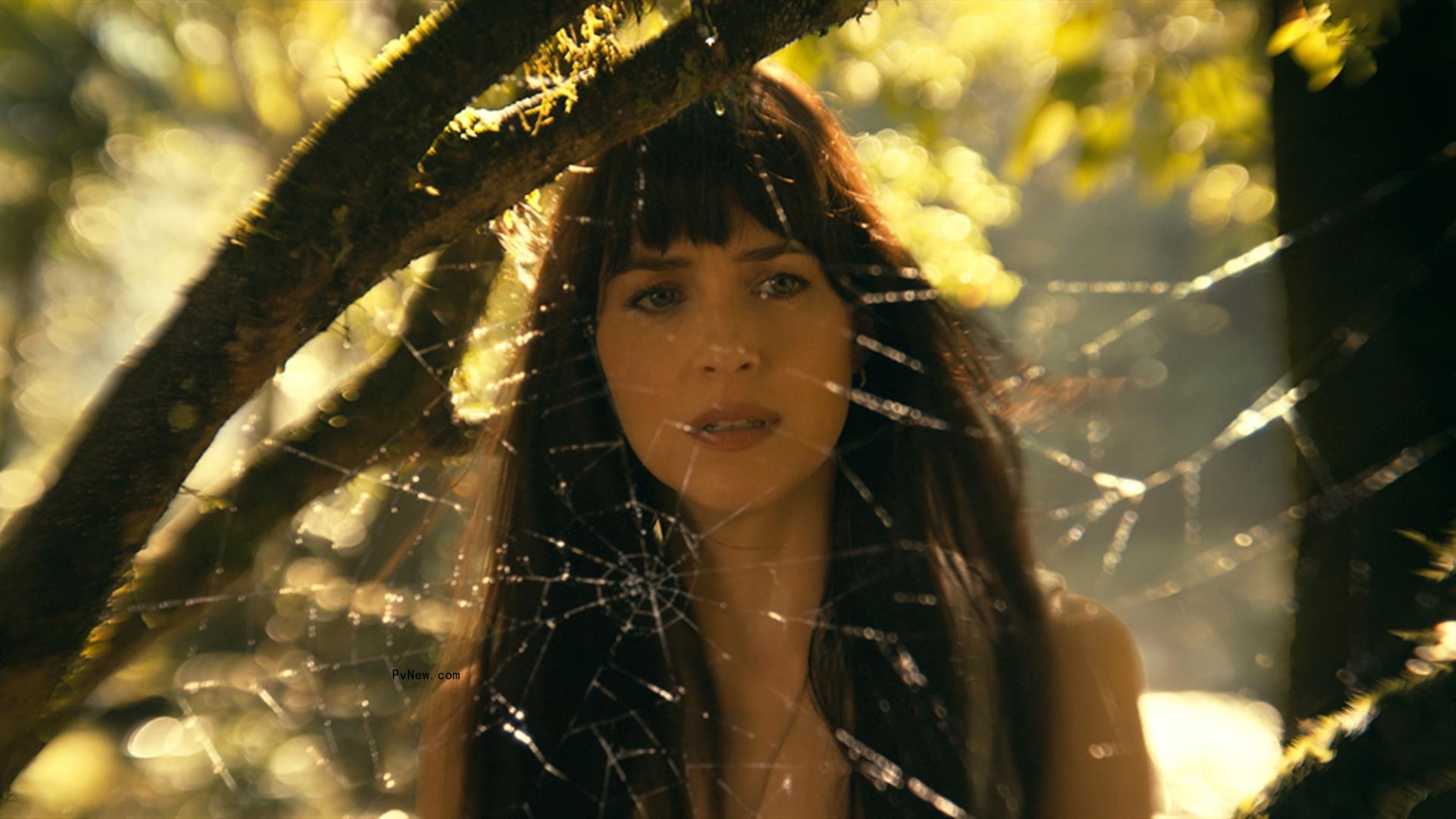 Dakota Johnson Says It Was ‘Absolutely Psychotic’ to Film ‘Madame Web’ With a Blue Screen: ‘I Don’t Know If This Is Going to Be Good at All’
