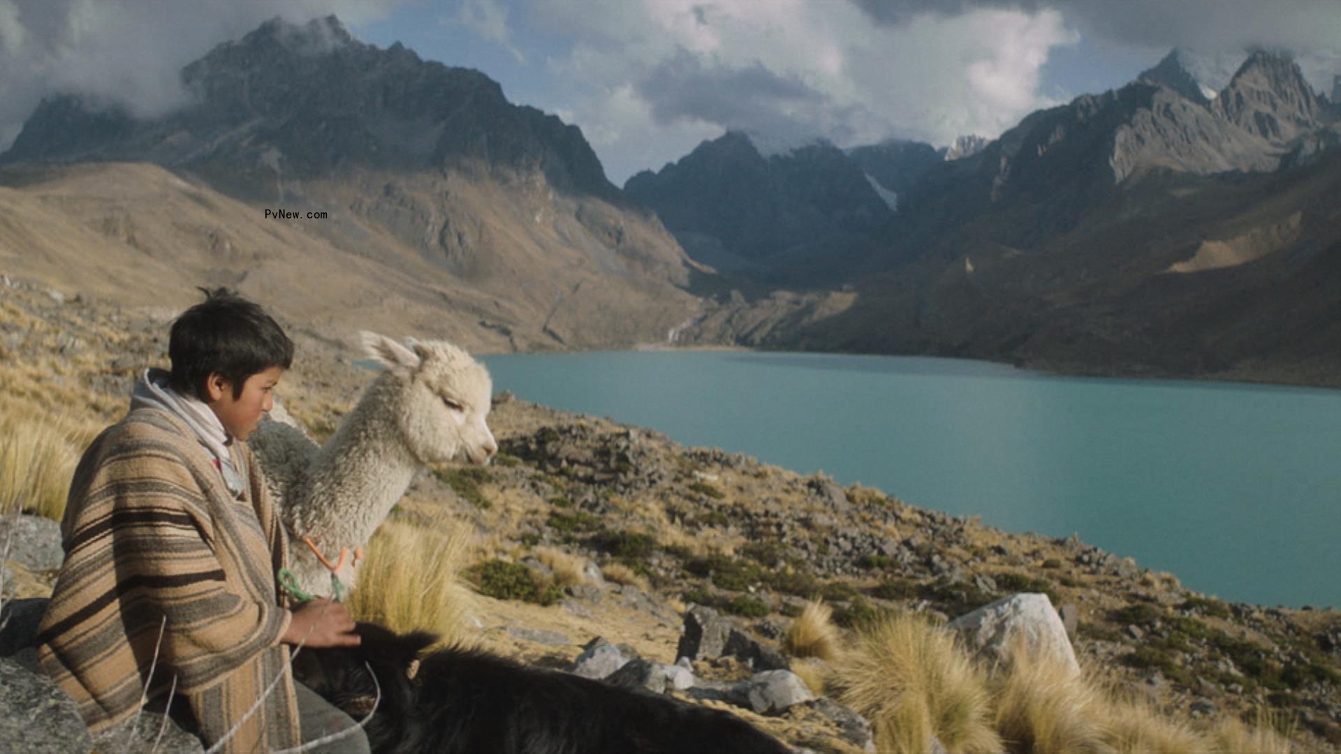 Luxbox Snags Peru’s ‘Through Rocks and Clouds,’ Set in the Stunning High Andes, Ahead of Its Berlinale Bow