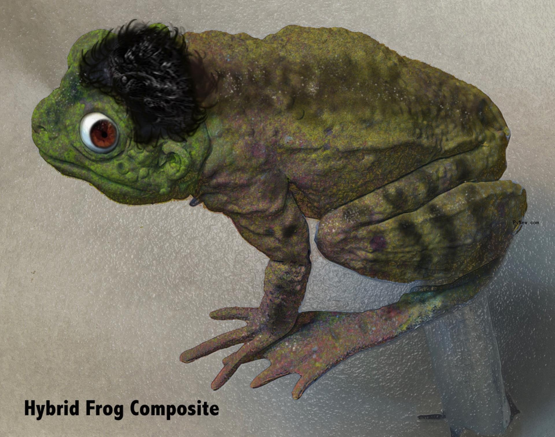 How the ‘What We Do in the Shadows’ Prosthetics Designer Created Lazlo’s Hybrid Creatures