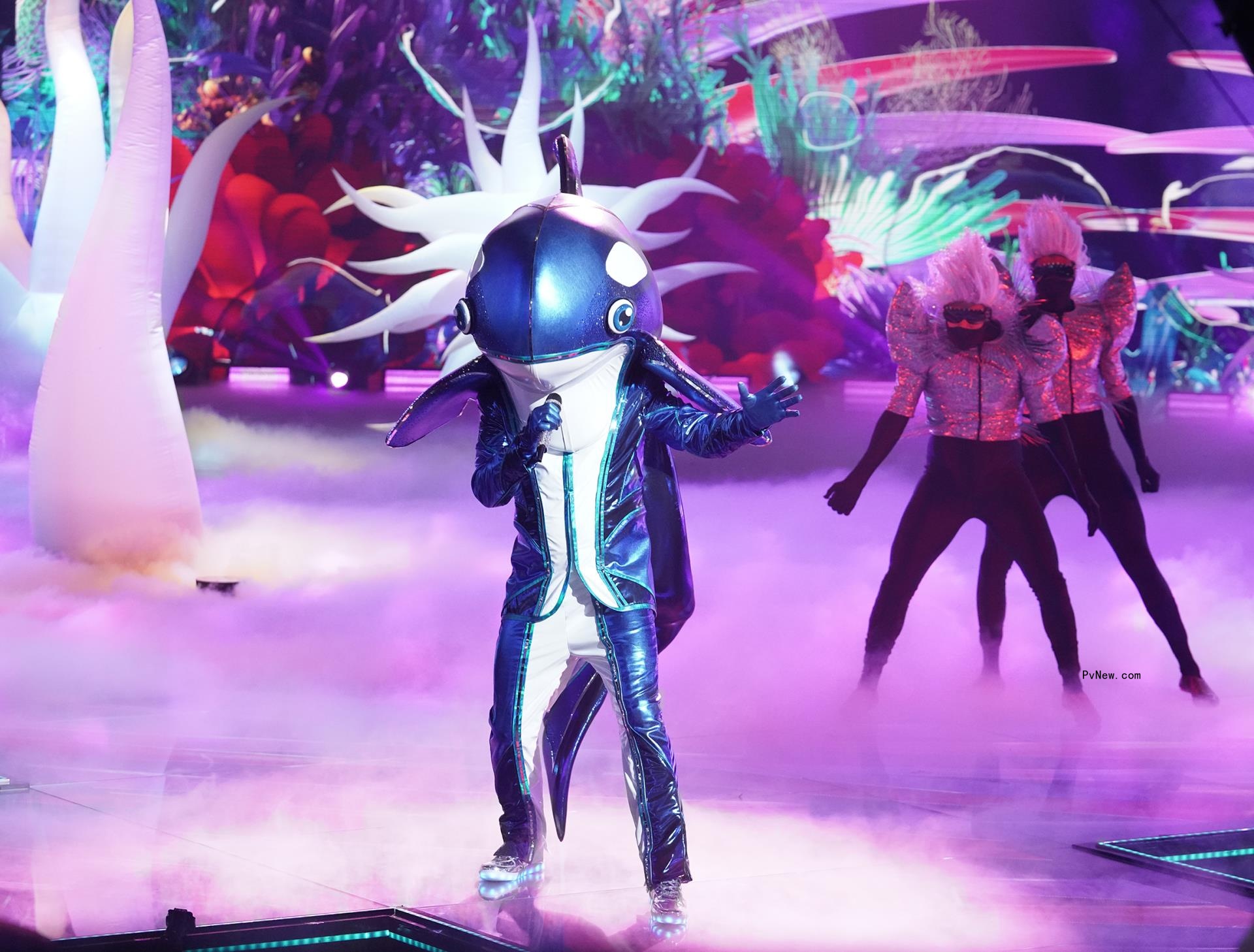 ‘The Masked Singer’ Reveals the Identity of the Orca: Here’s the Star Under the Mask