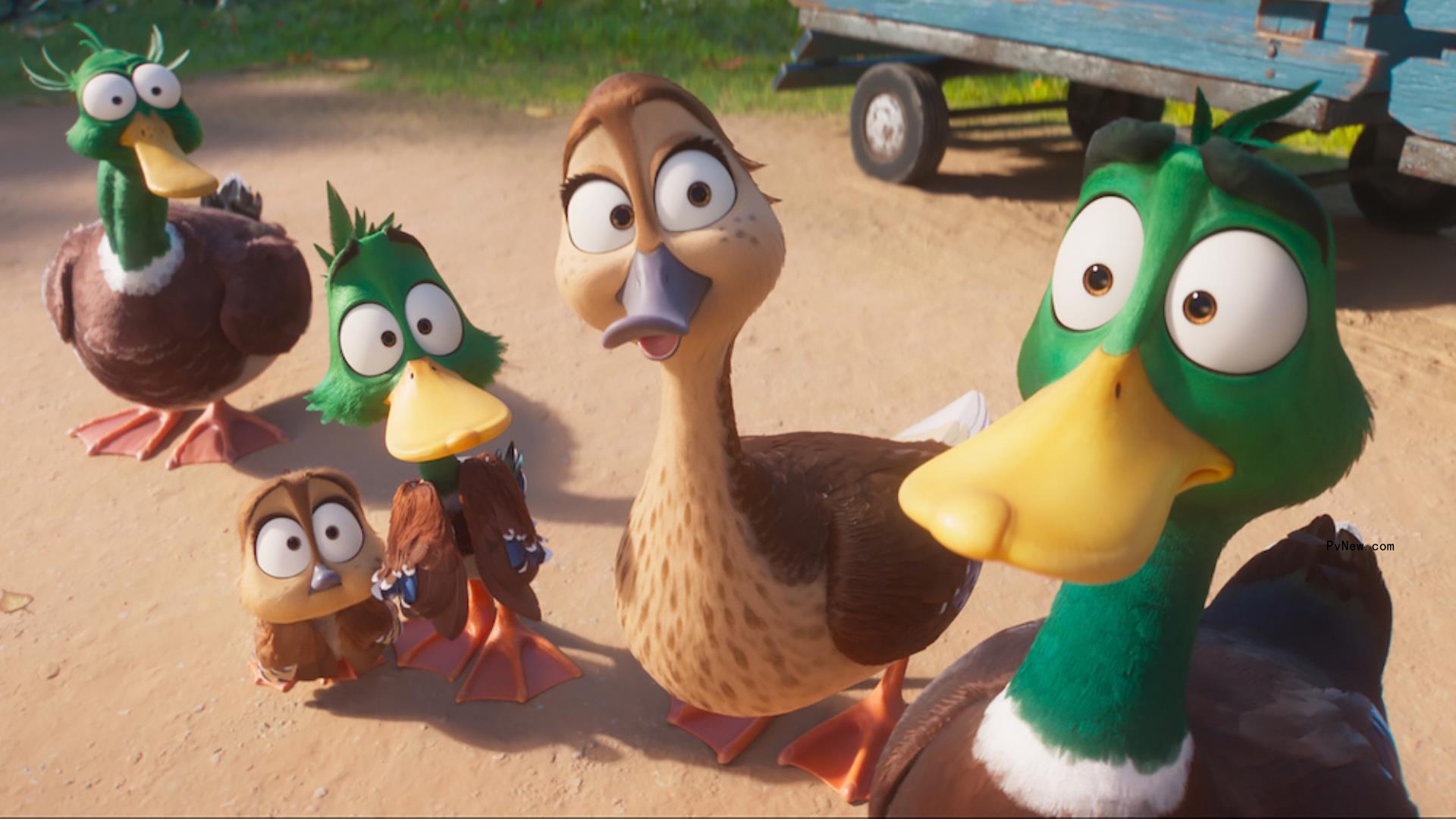 ‘Argylle’ Beaten by Animation Film ‘Migration’ at U.K., Ireland Box Office