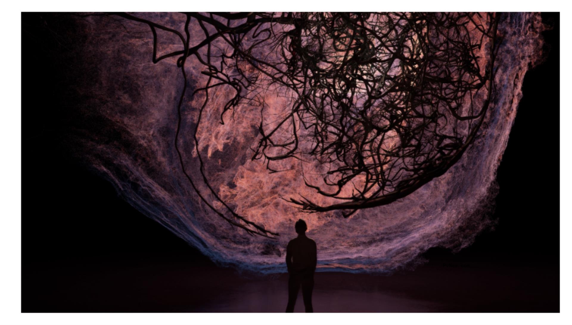 Cate Blanchett, Terrence Malick Reteam on Tribeca-Bound VR Experience ‘Evolver;’ Trailer Unveiled